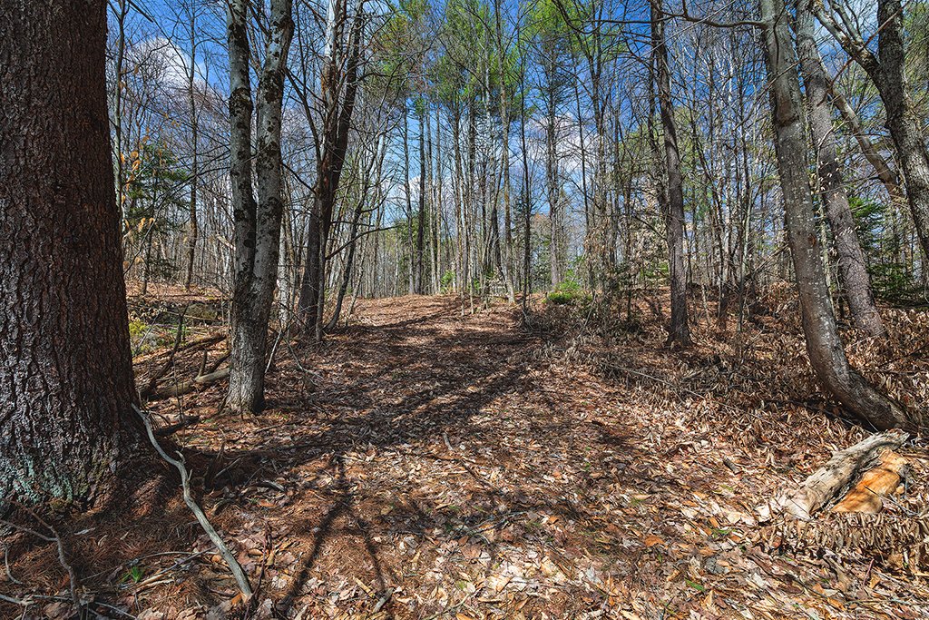 Land/Lot