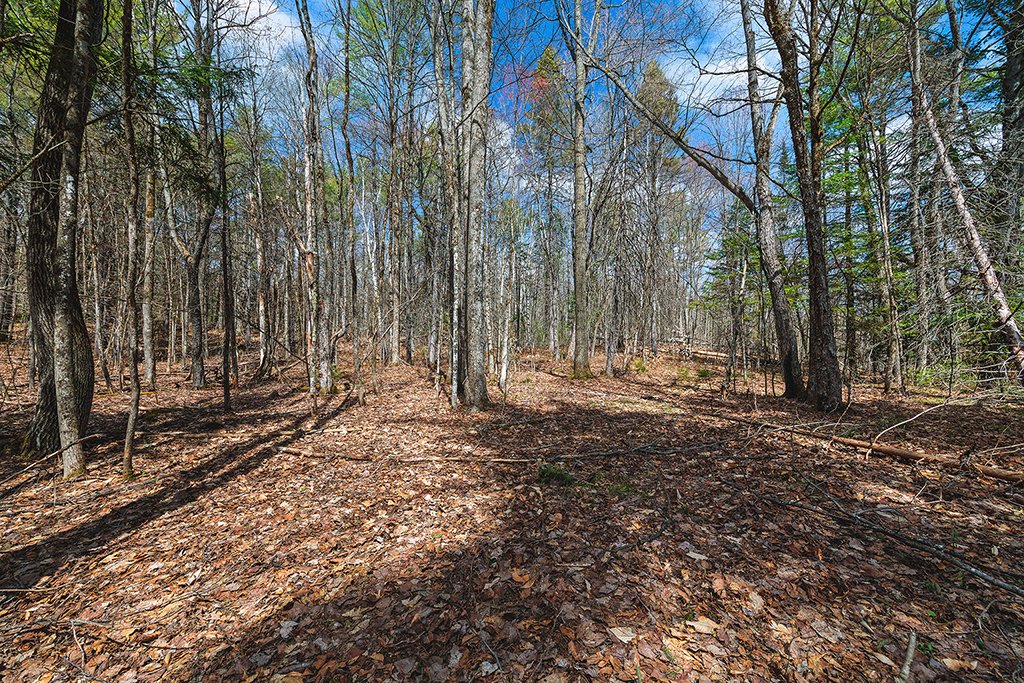 Land/Lot