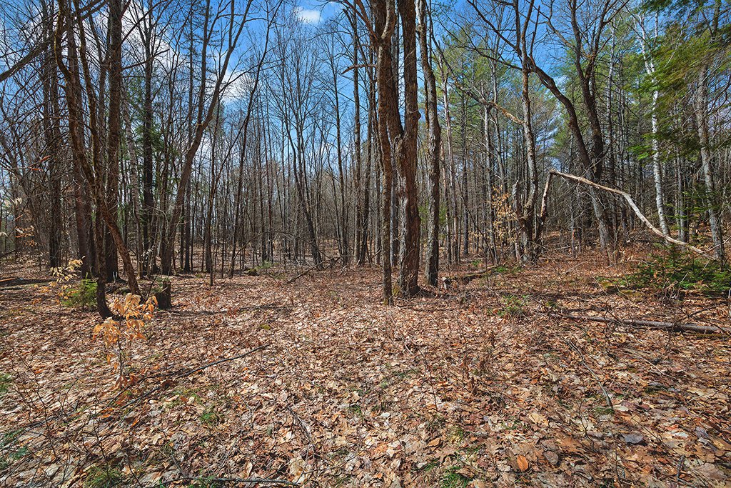 Land/Lot