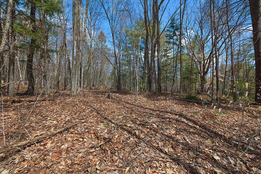 Land/Lot
