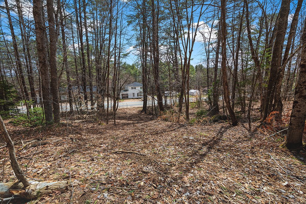 Land/Lot