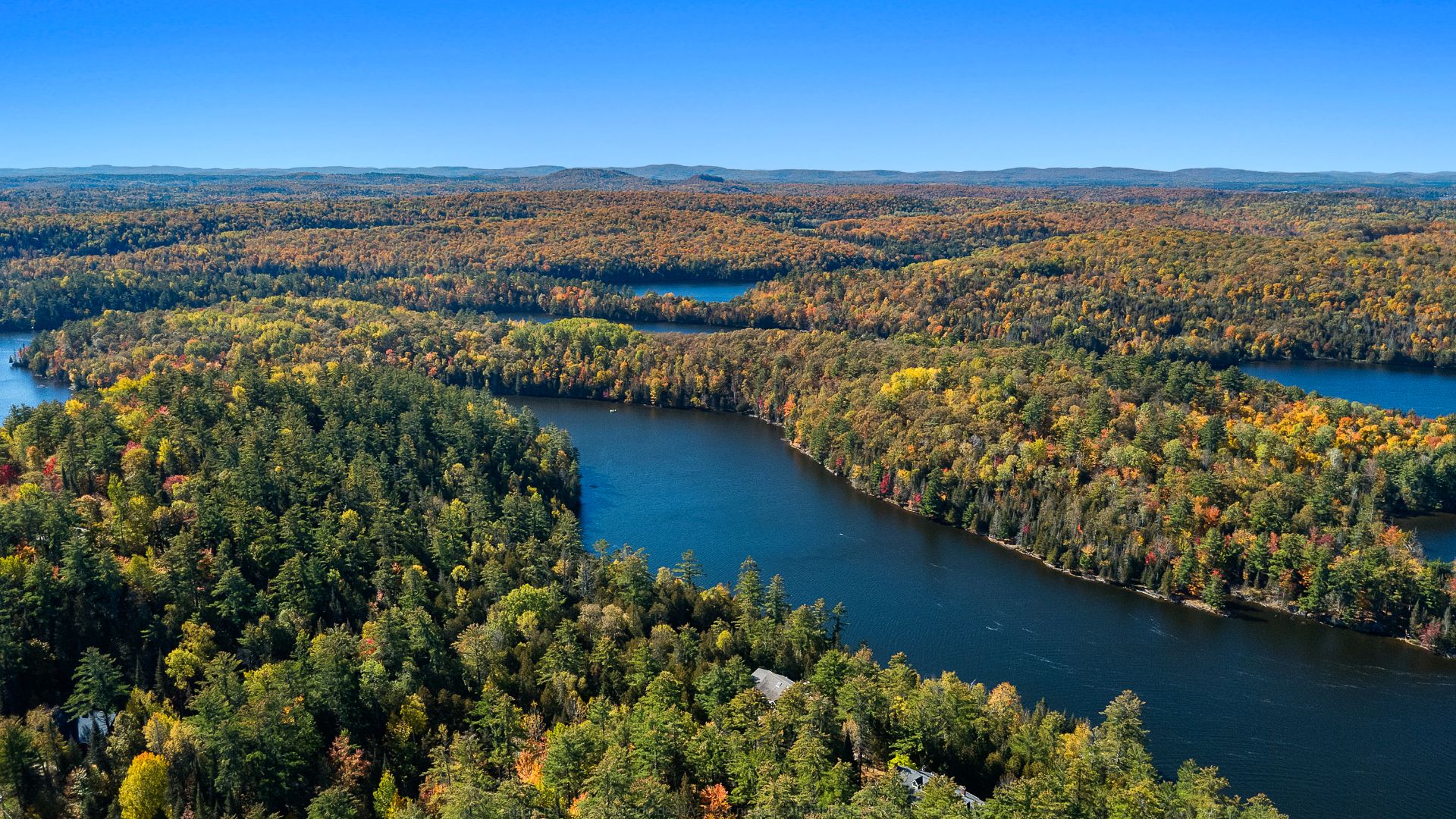 Aerial photo