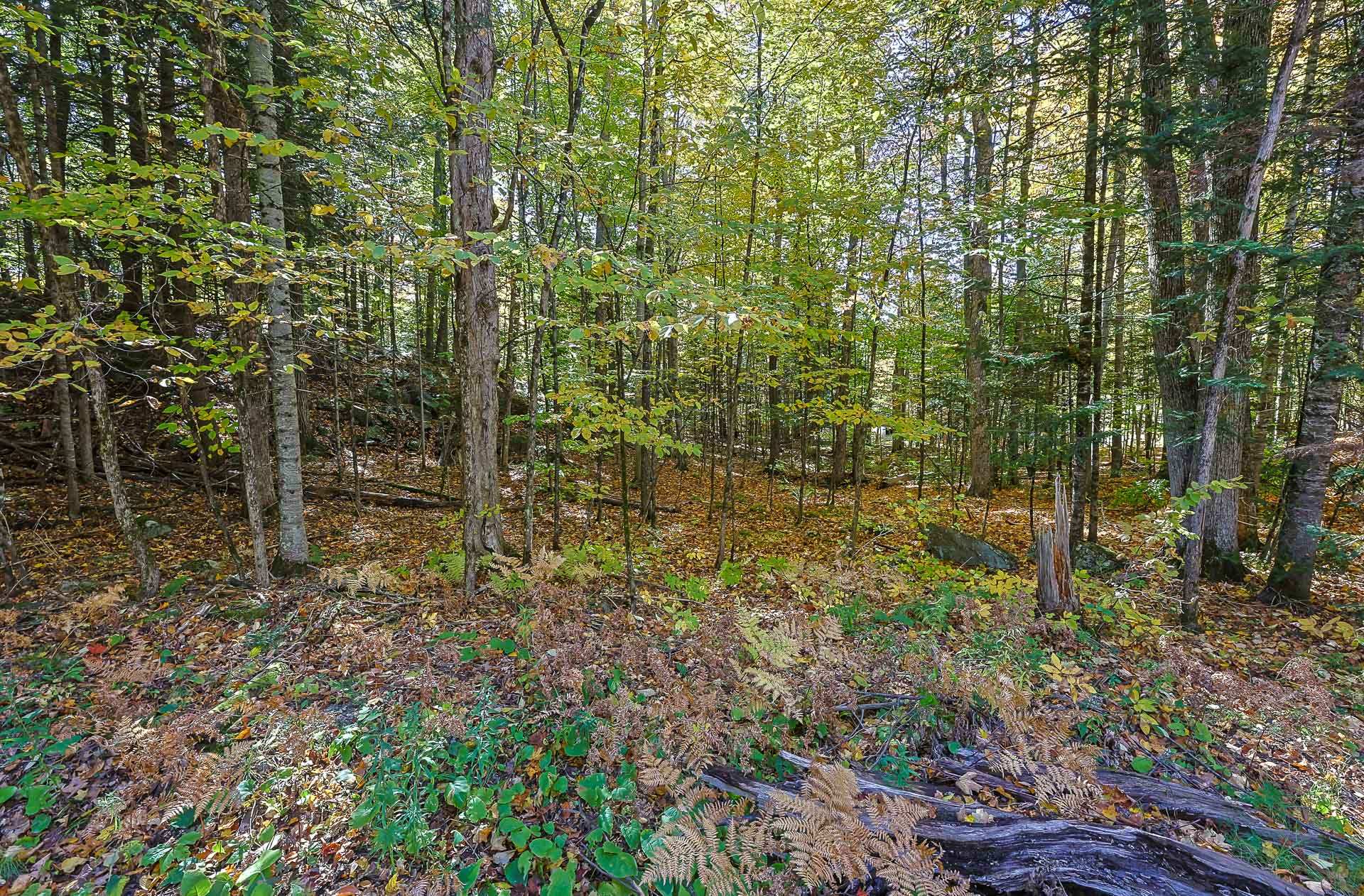 Land/Lot