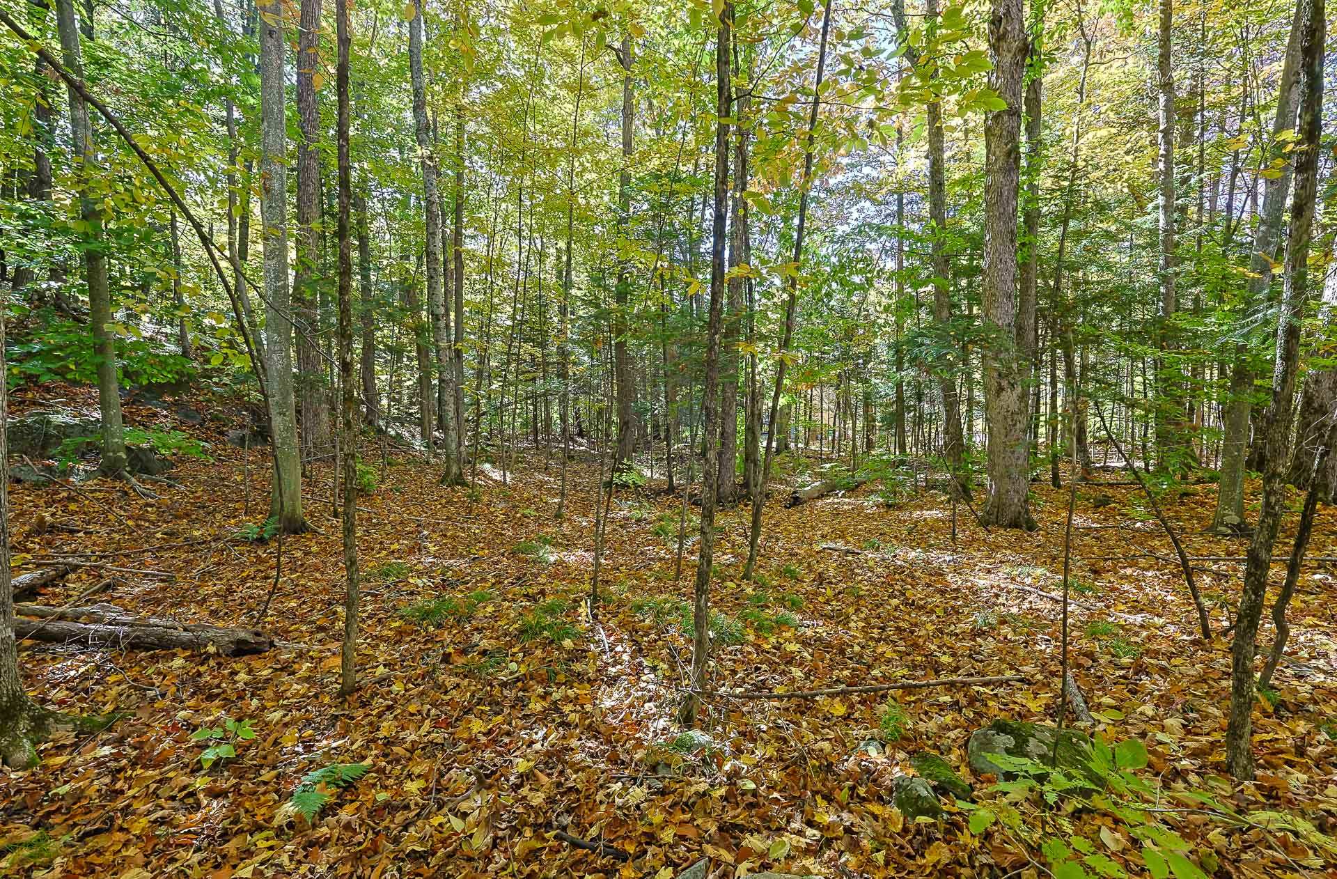 Land/Lot