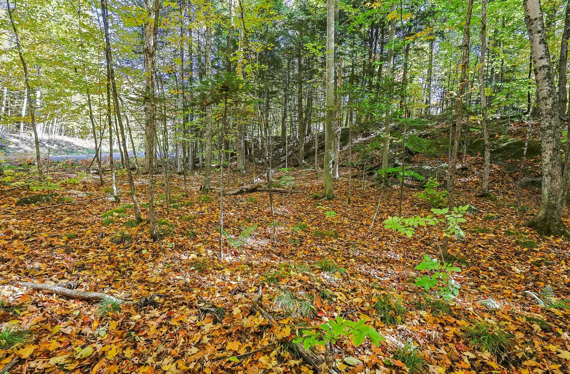 Land/Lot