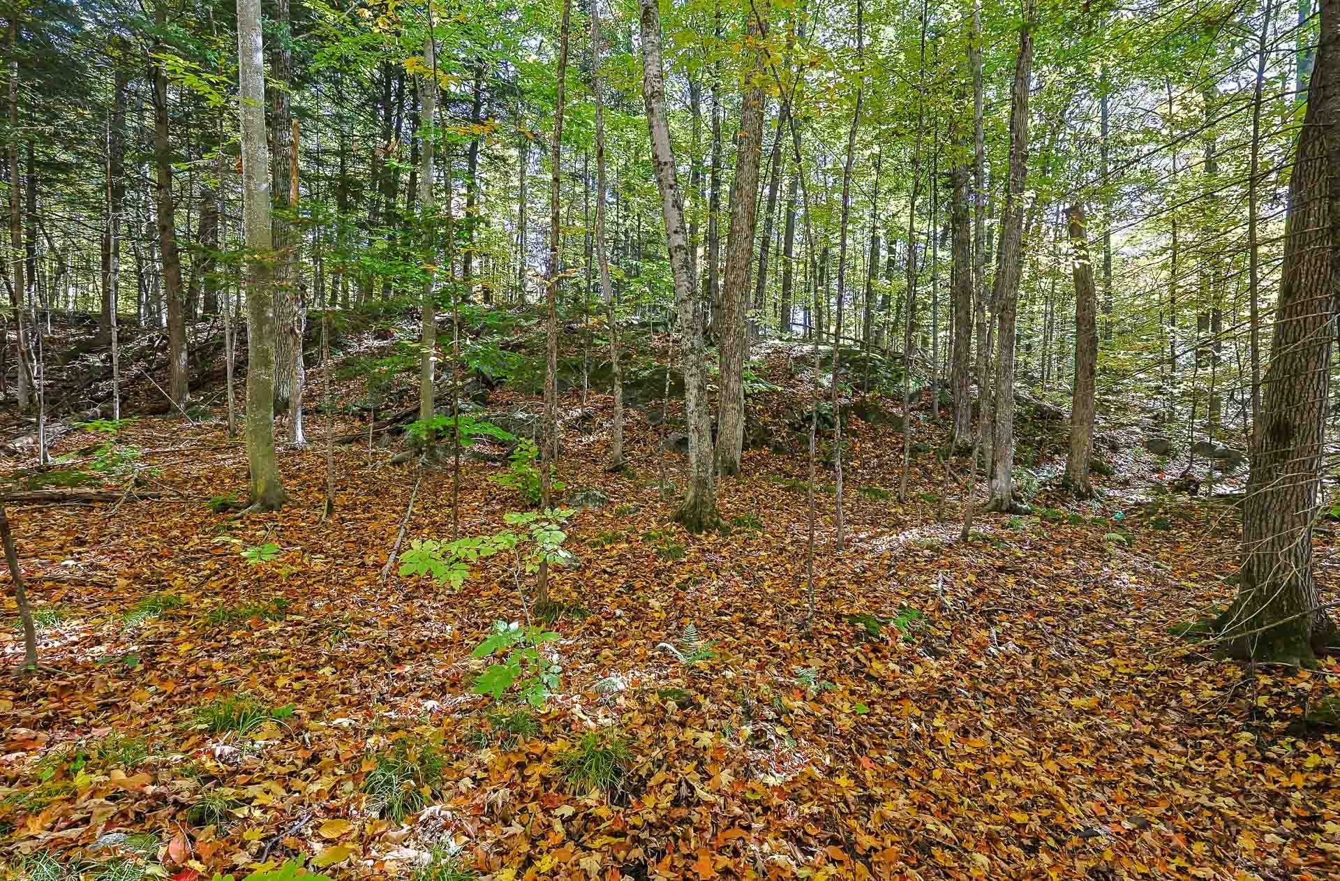 Land/Lot