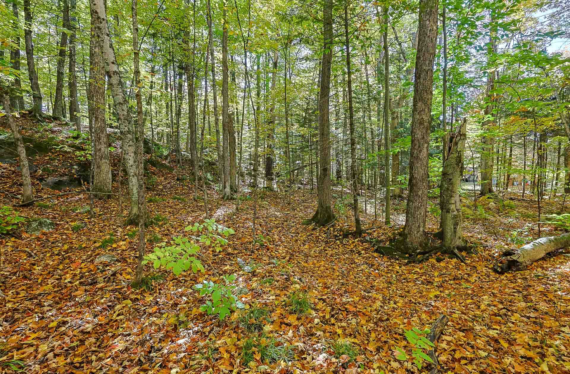 Land/Lot