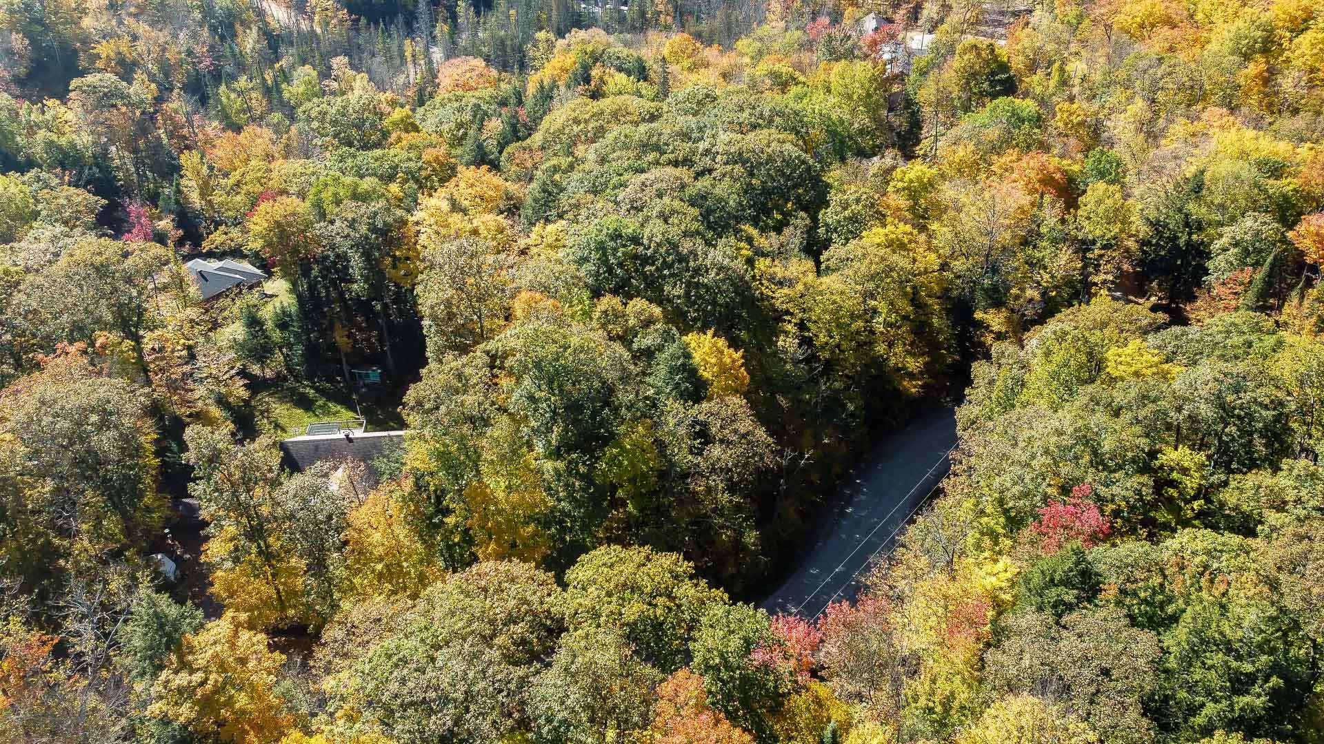 Aerial photo