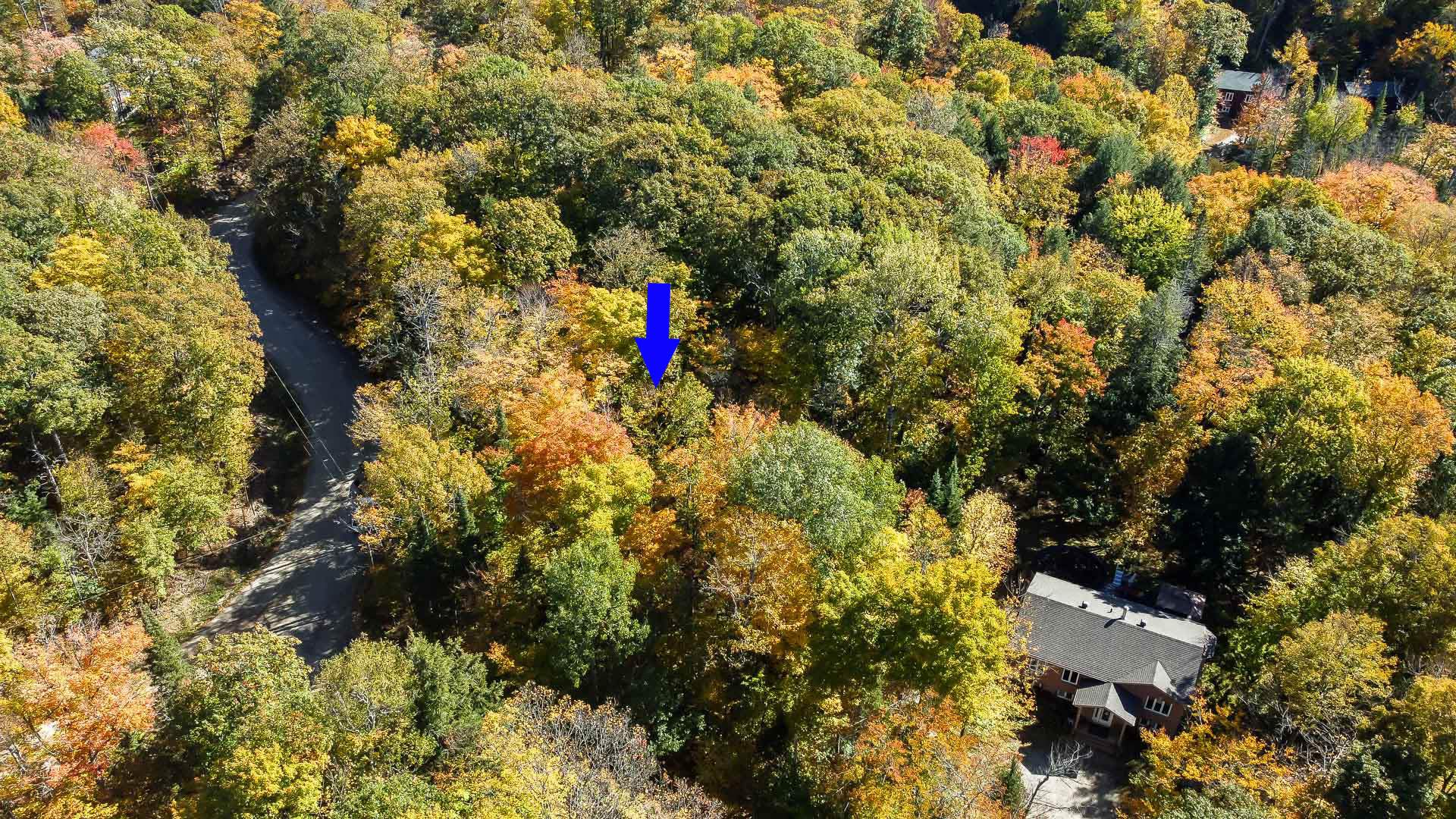 Aerial photo