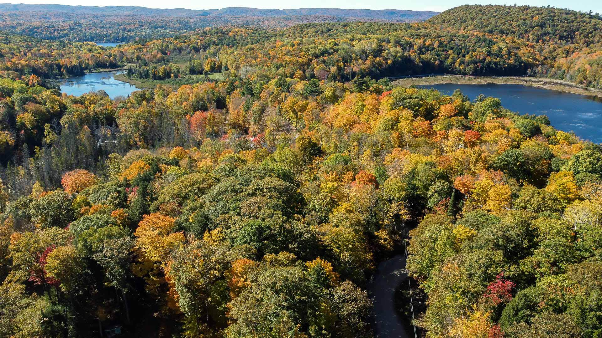 Aerial photo