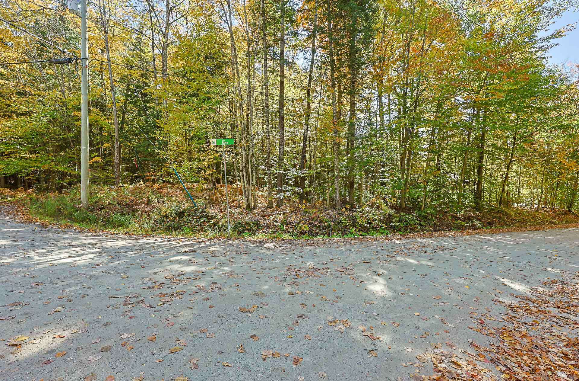Land/Lot