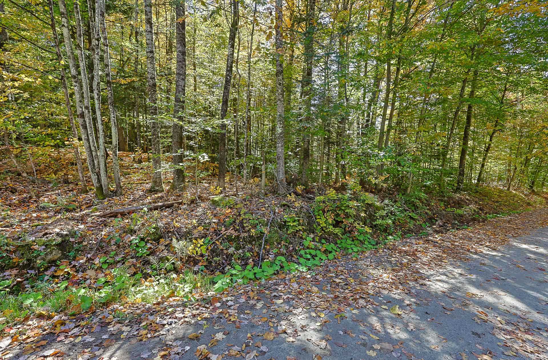 Land/Lot