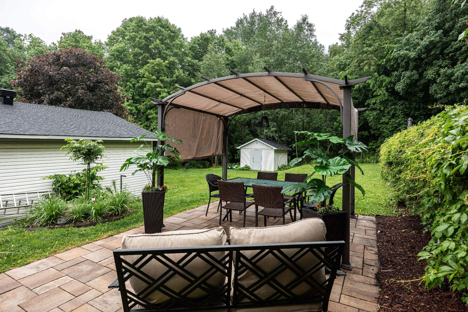Backyard