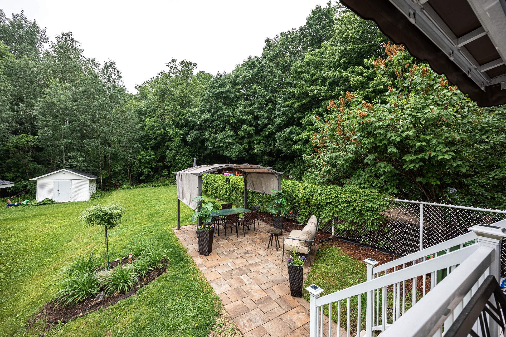 Backyard