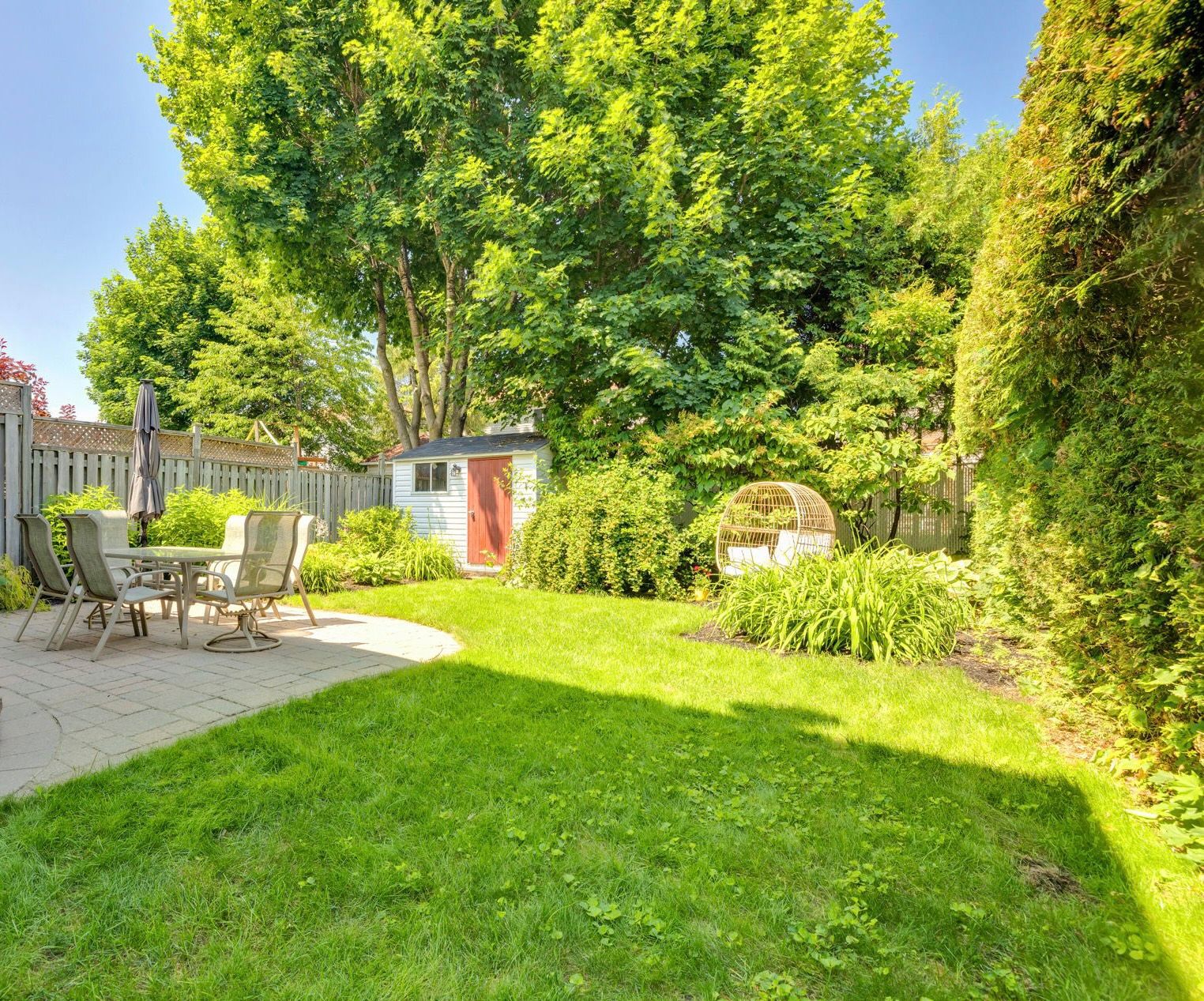 Backyard