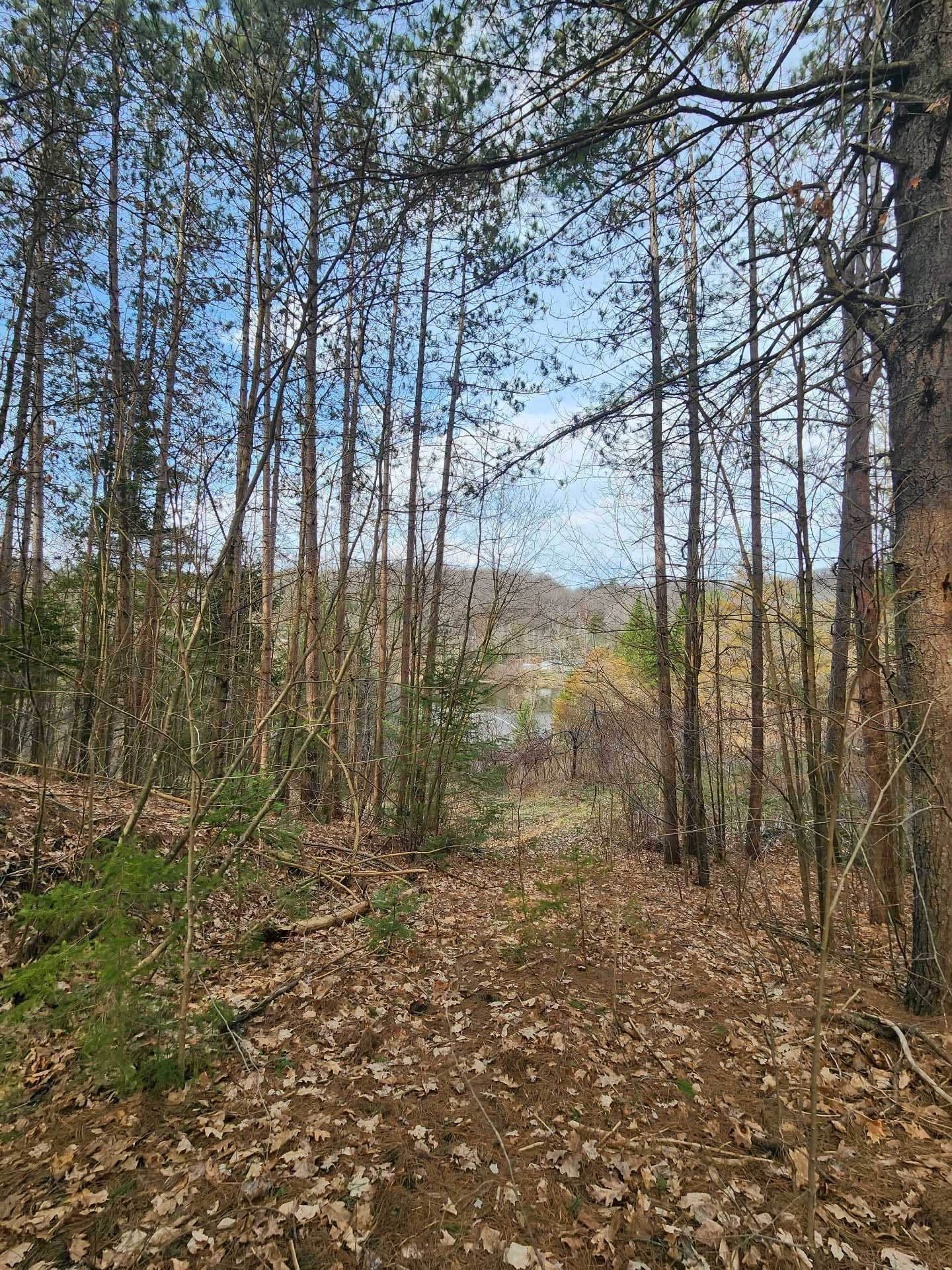 Land/Lot