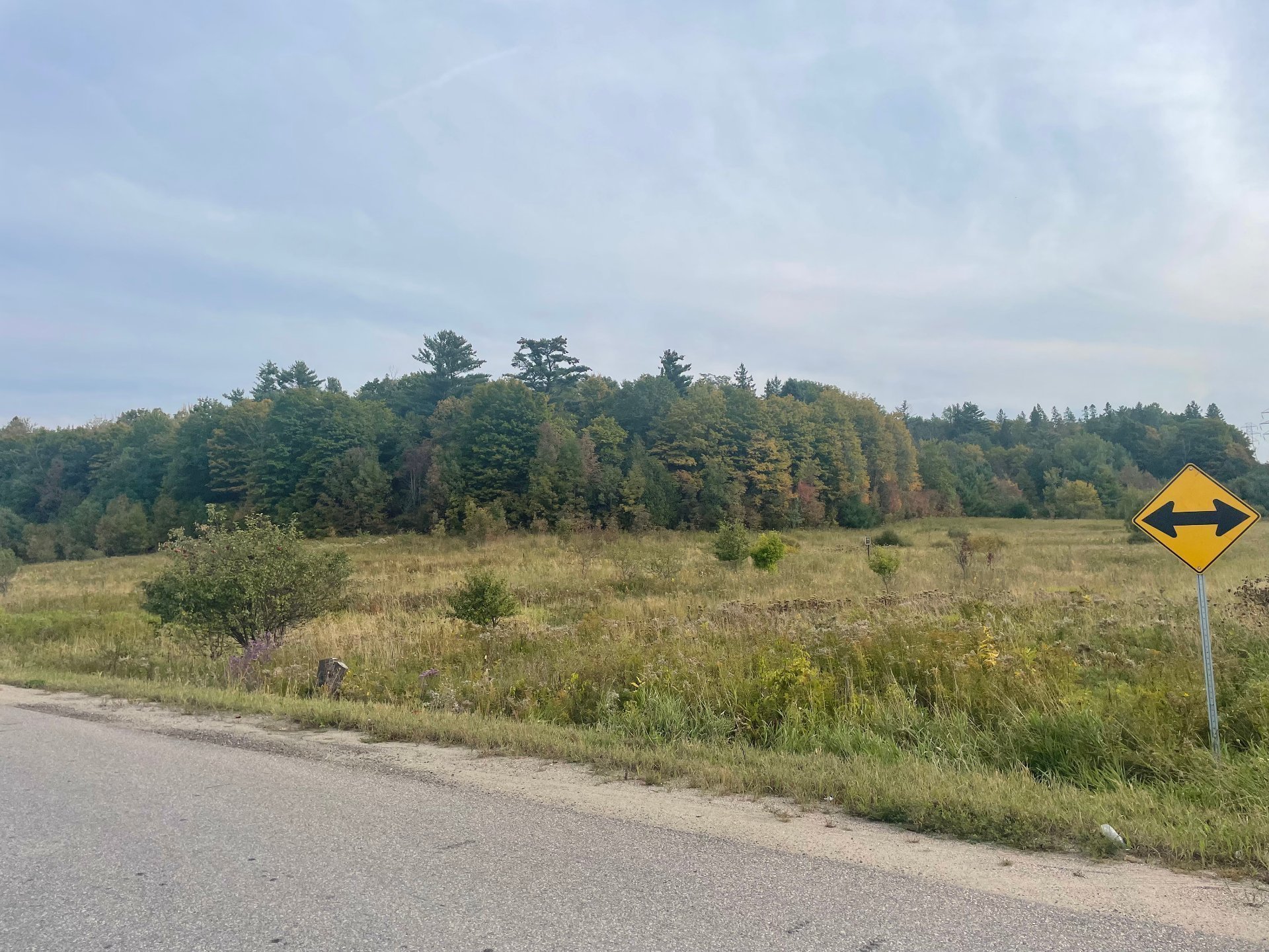 Land/Lot