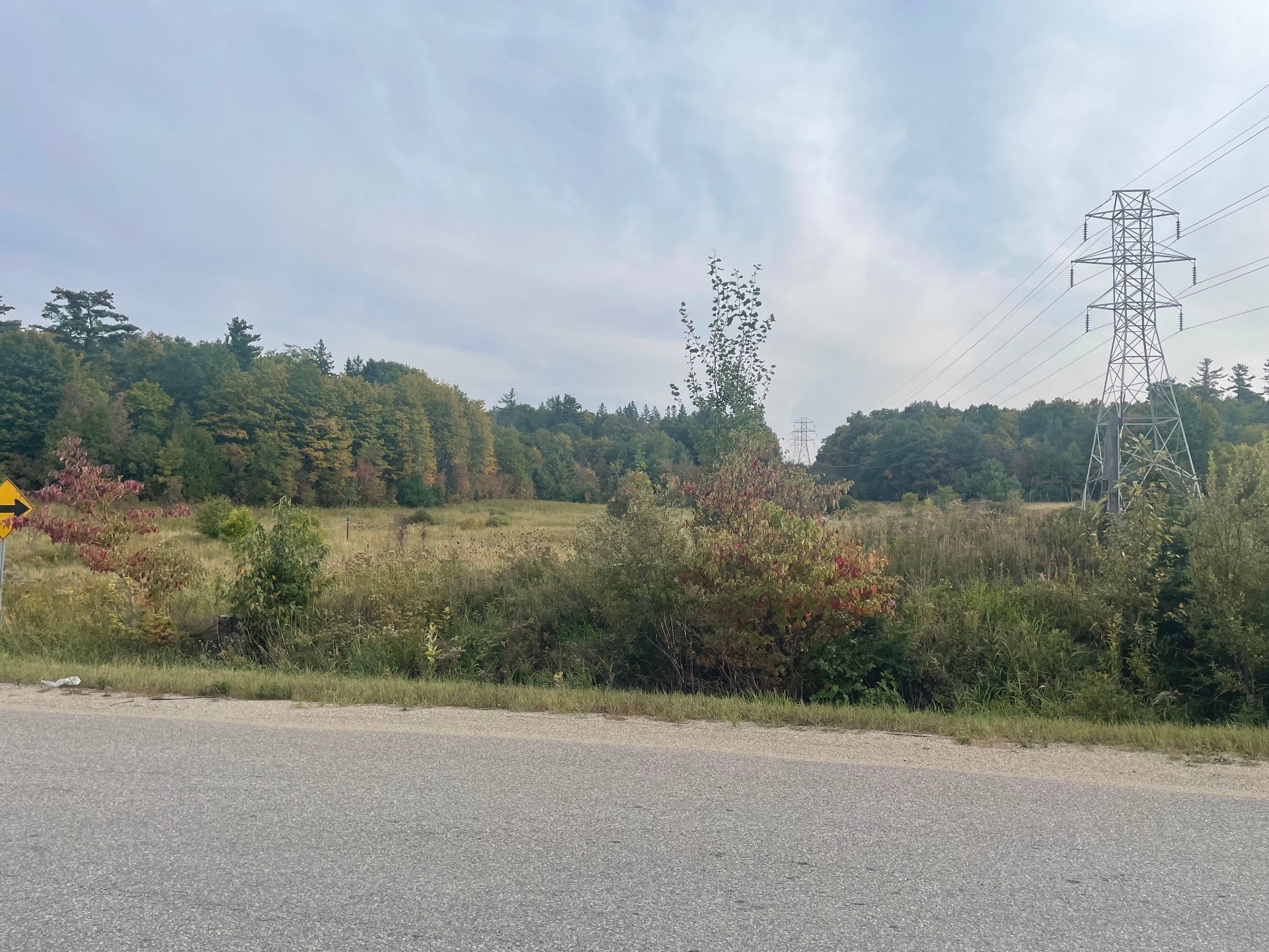 Land/Lot
