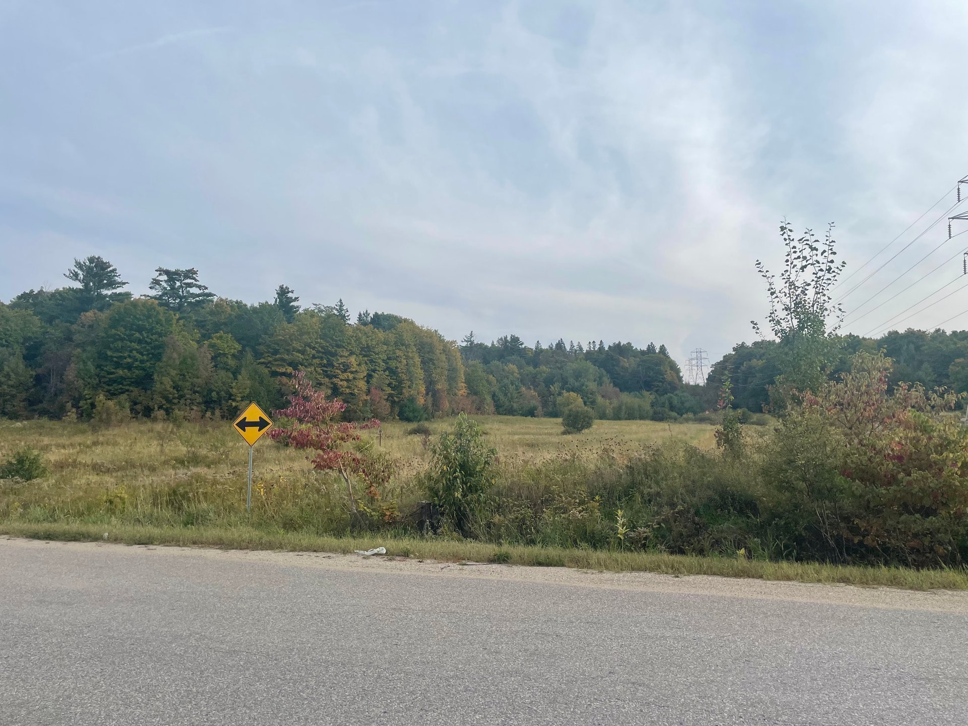 Land/Lot