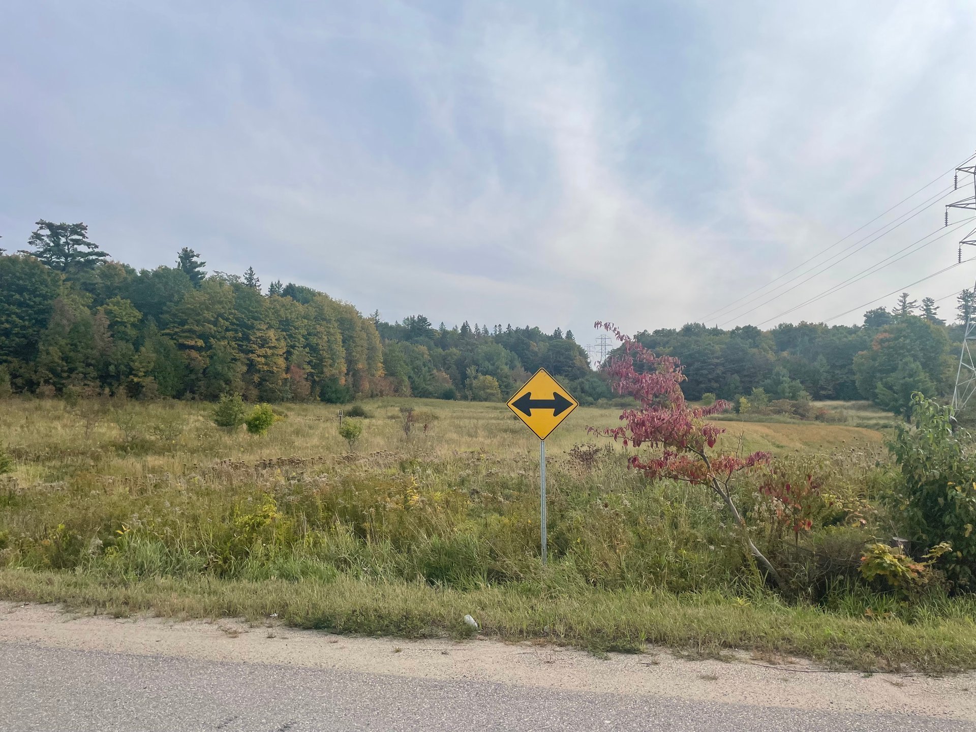Land/Lot