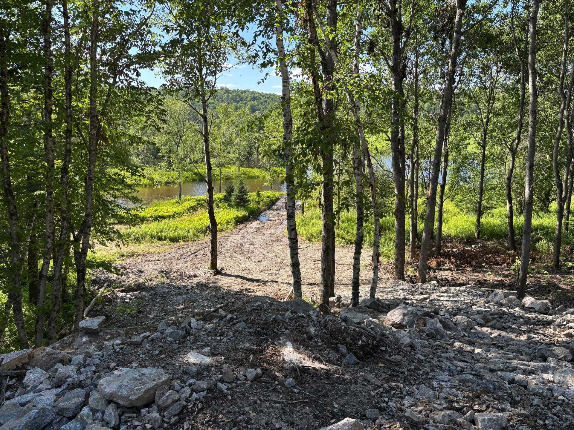 Overall view