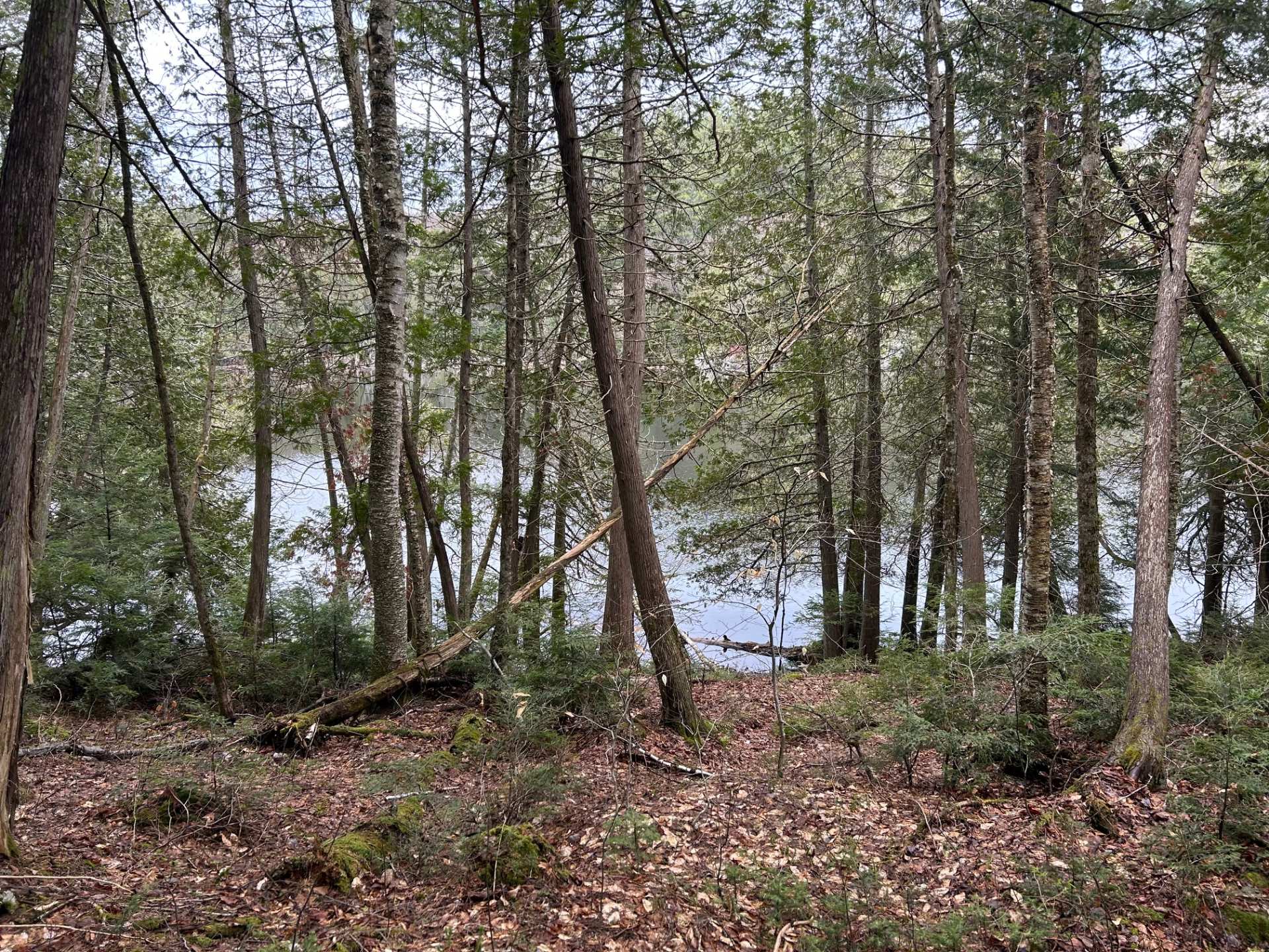 Bord de l'eau