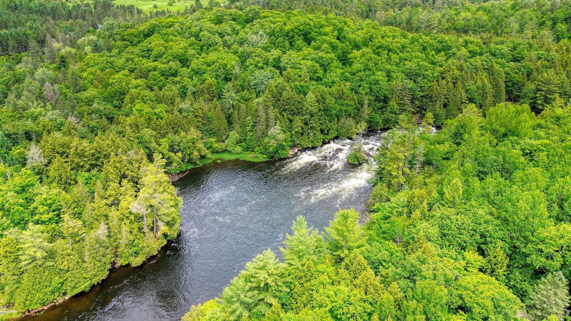 Aerial photo