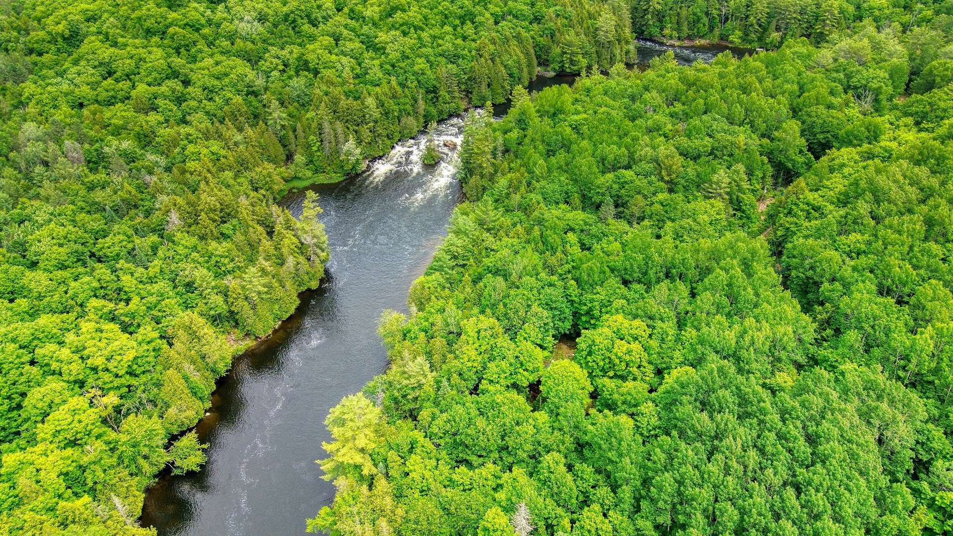 Aerial photo