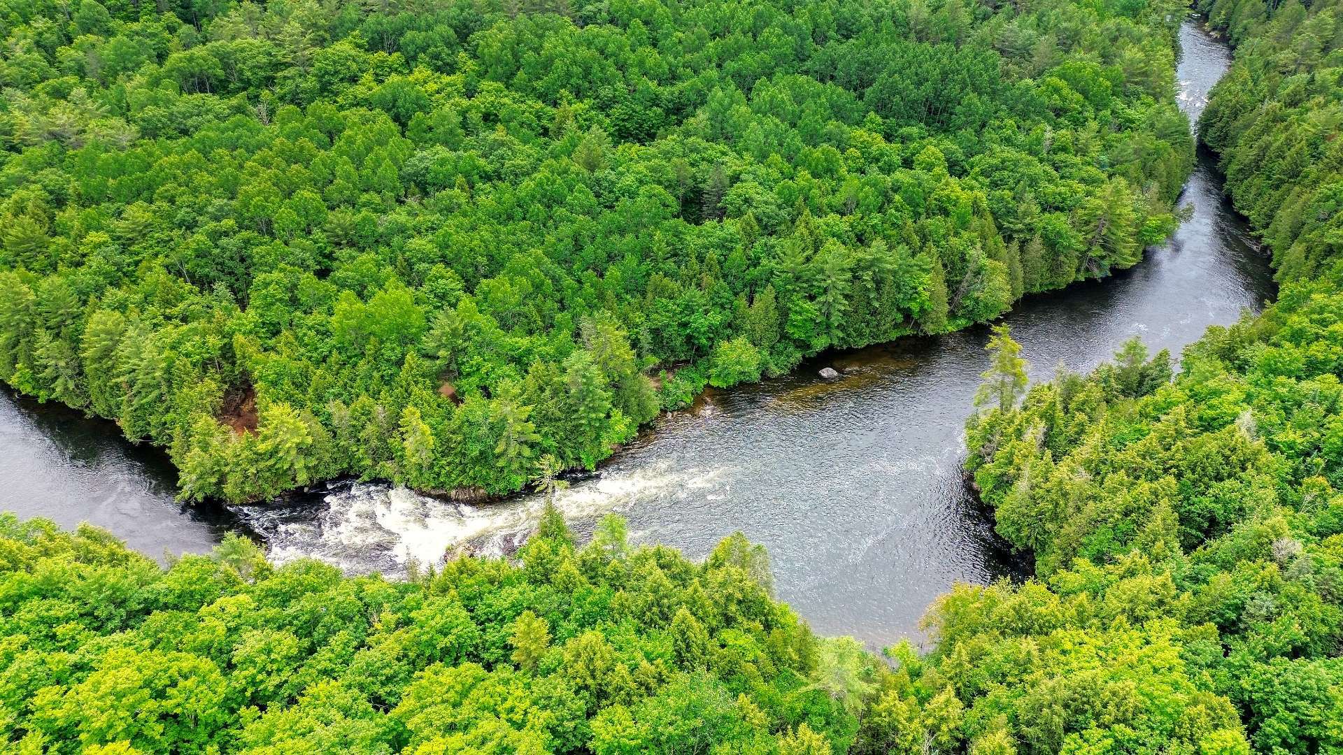 Aerial photo