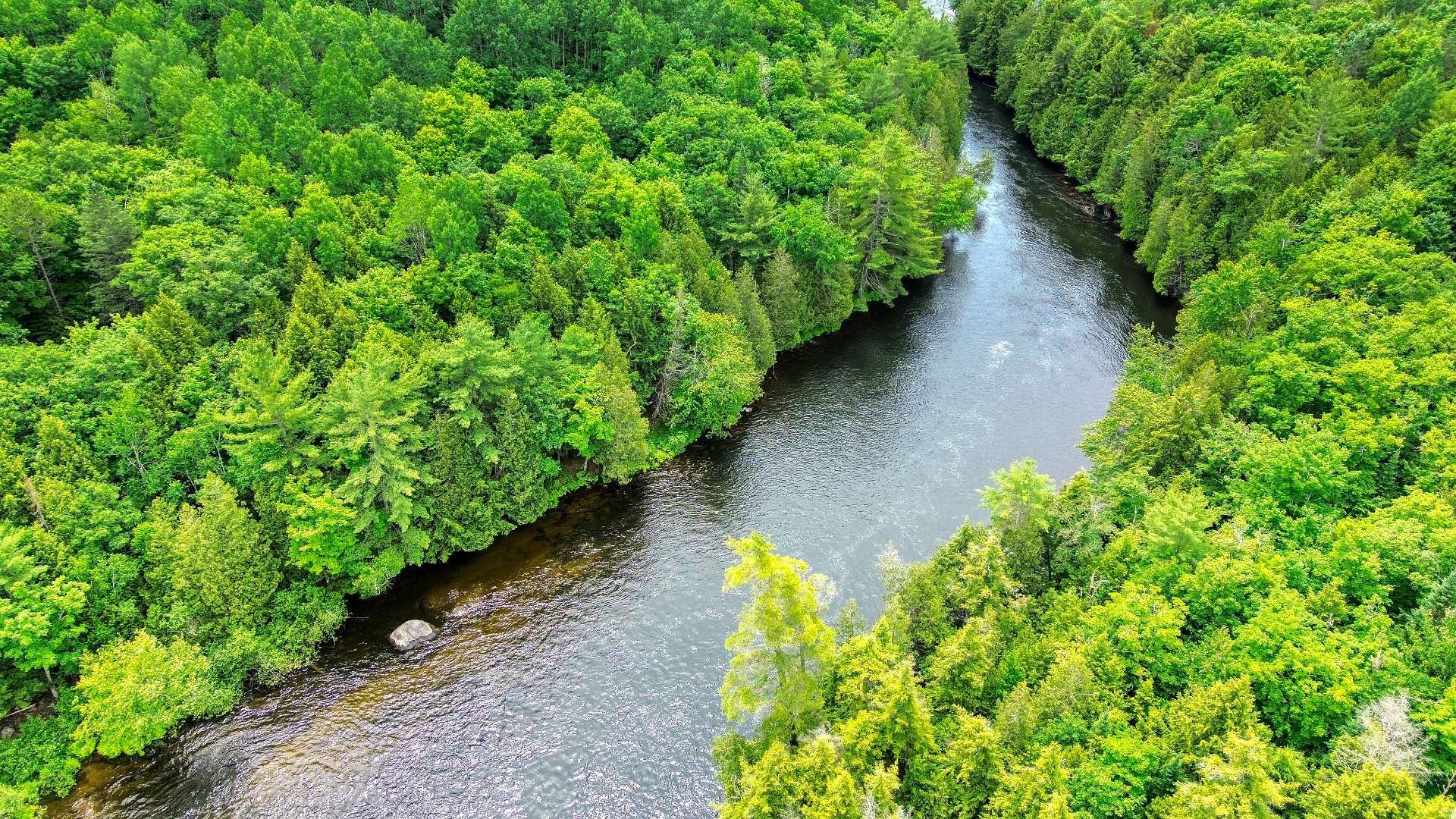 Aerial photo