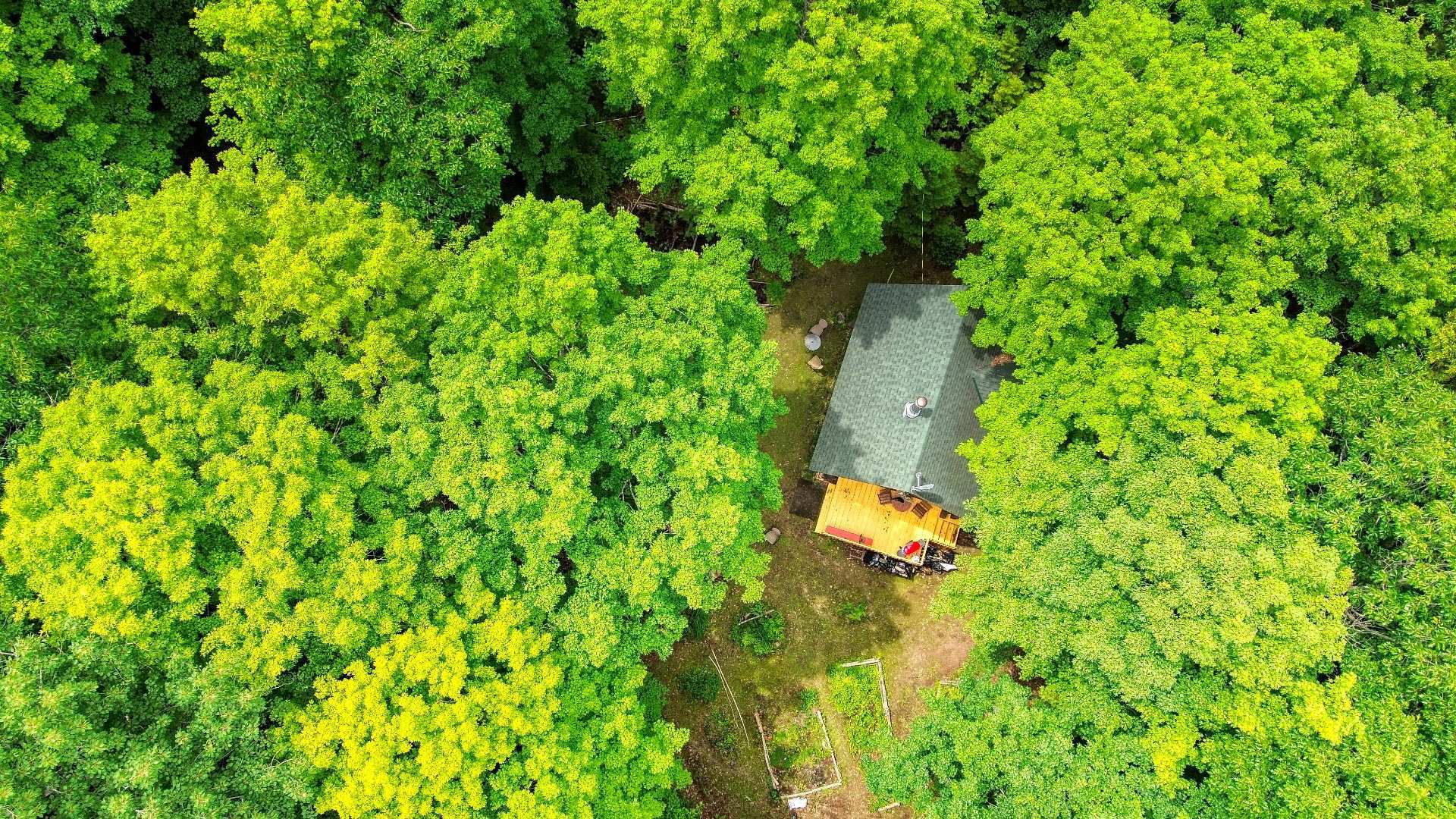 Aerial photo