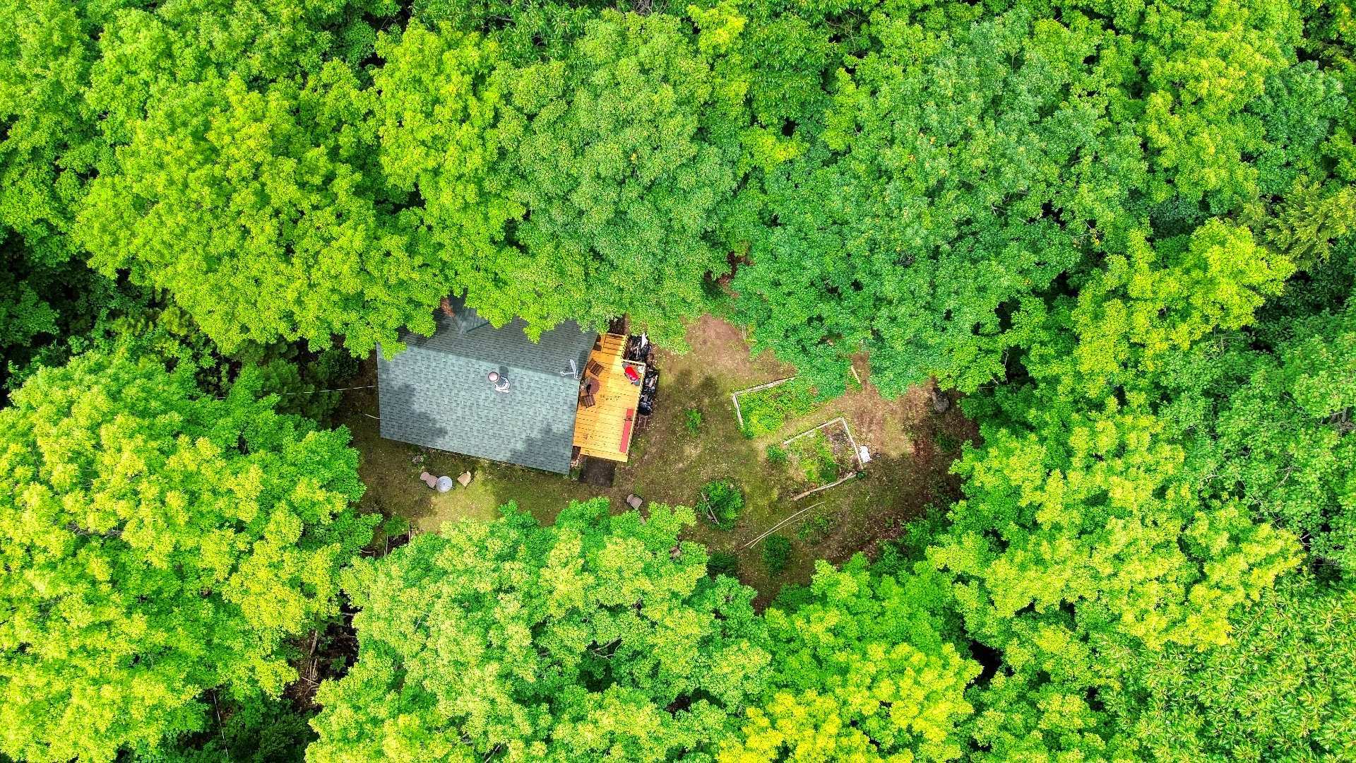 Aerial photo