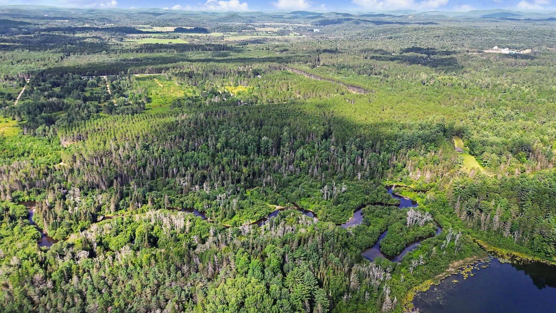 Overall view