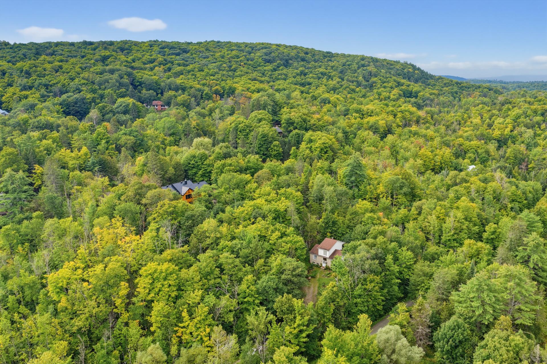 Aerial photo