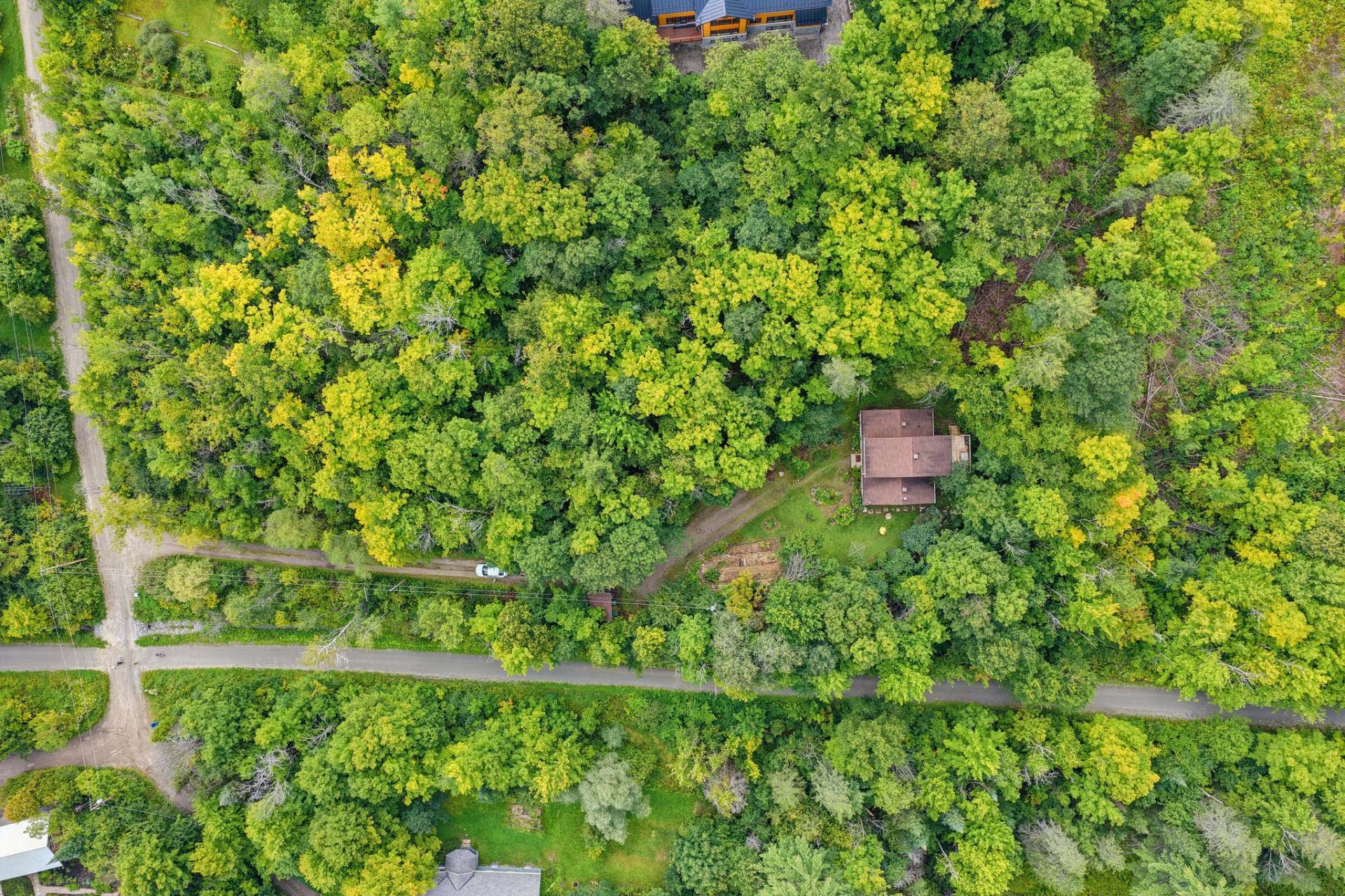 Aerial photo