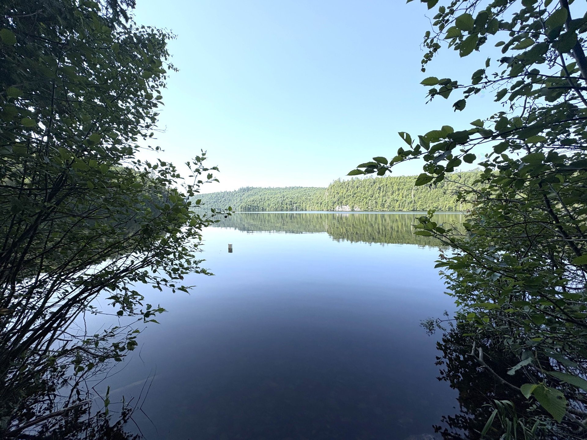 Bord de l'eau