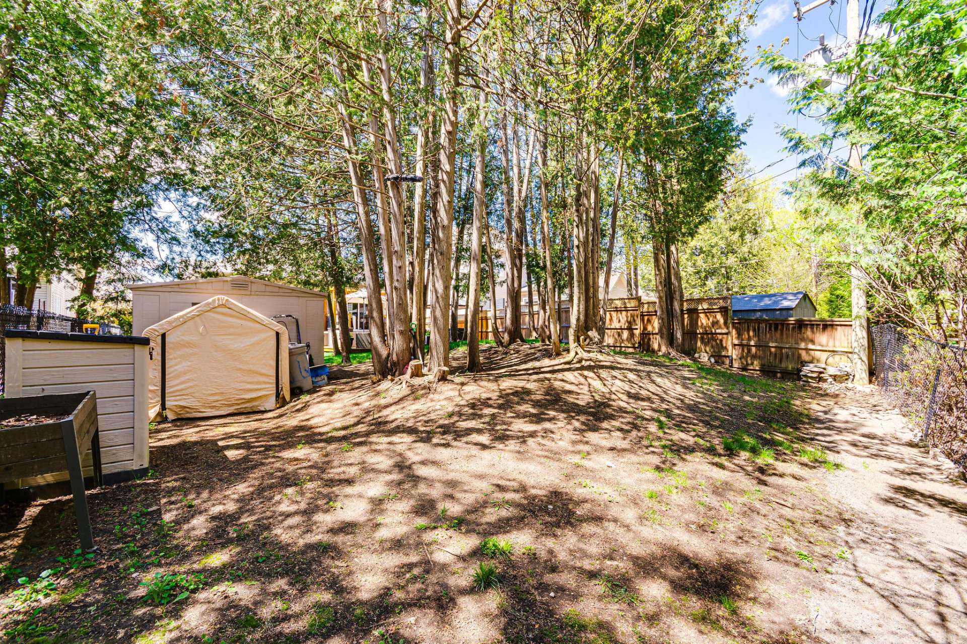 Backyard