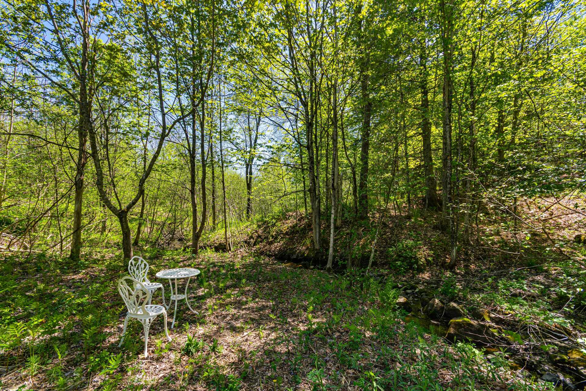Wooded area