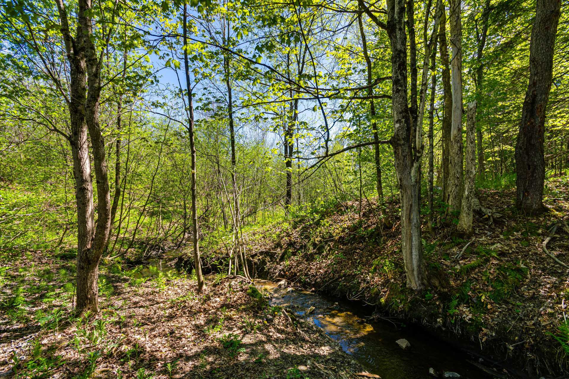 Other - Stream