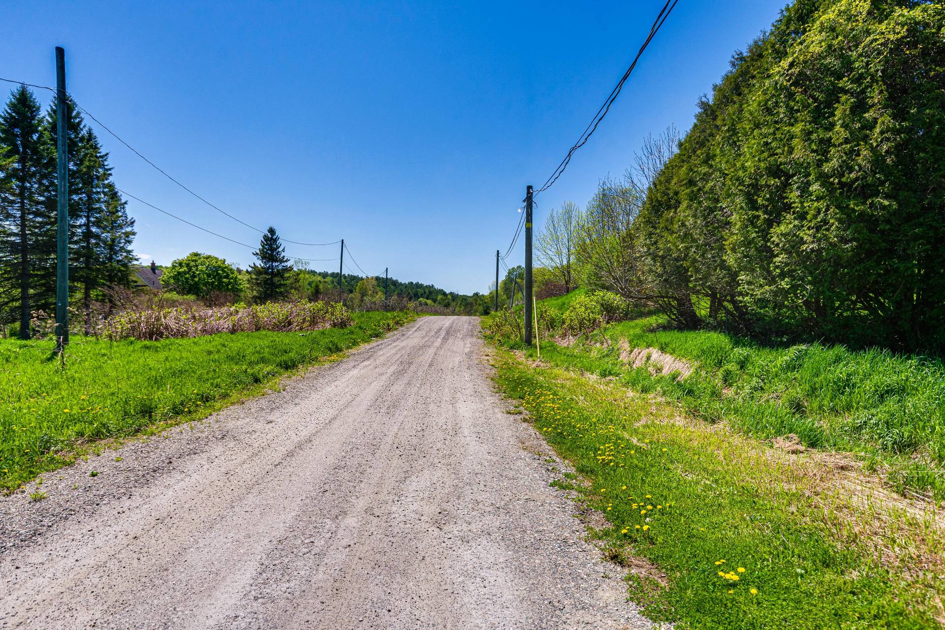 Street