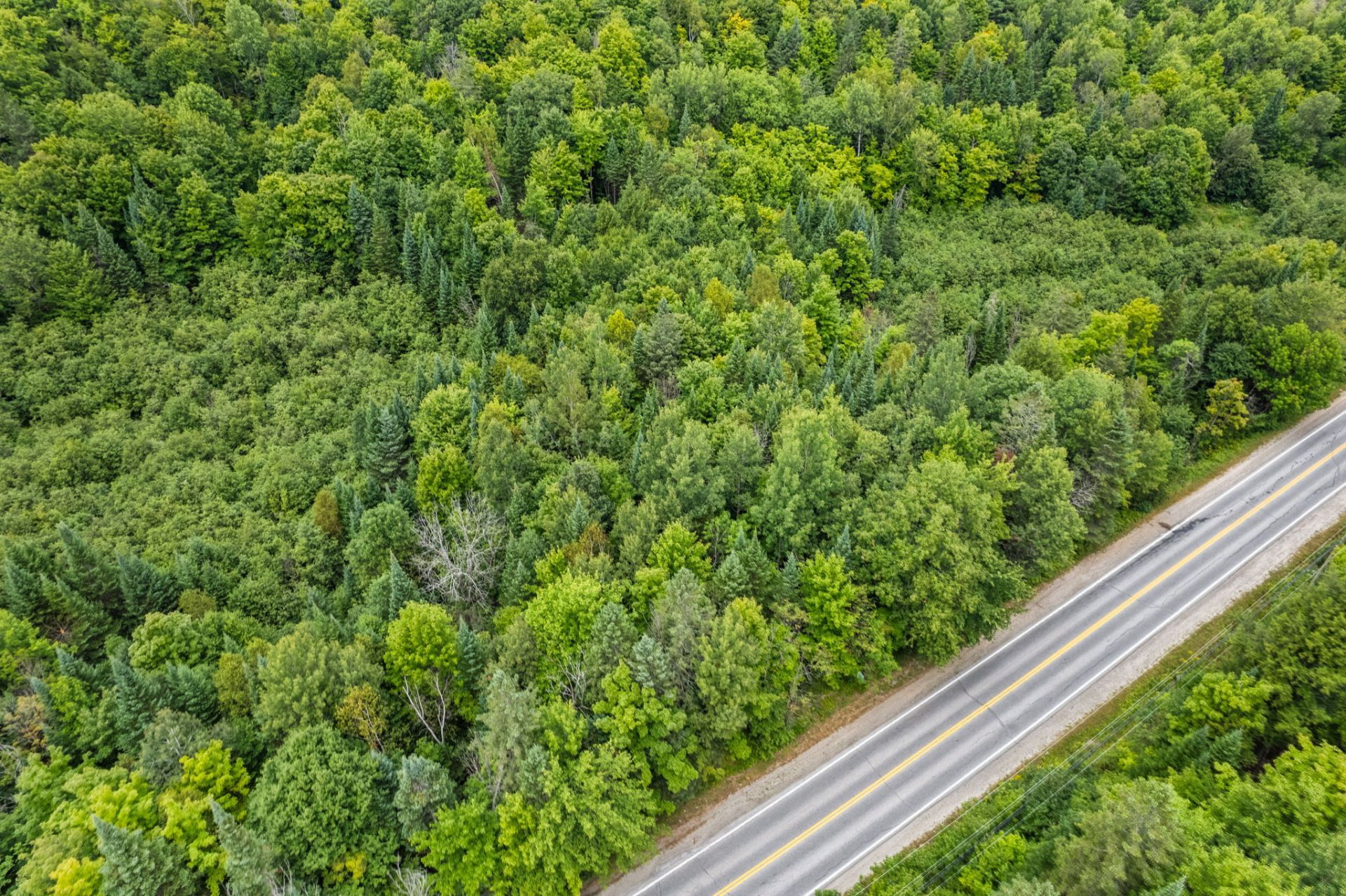 Aerial photo
