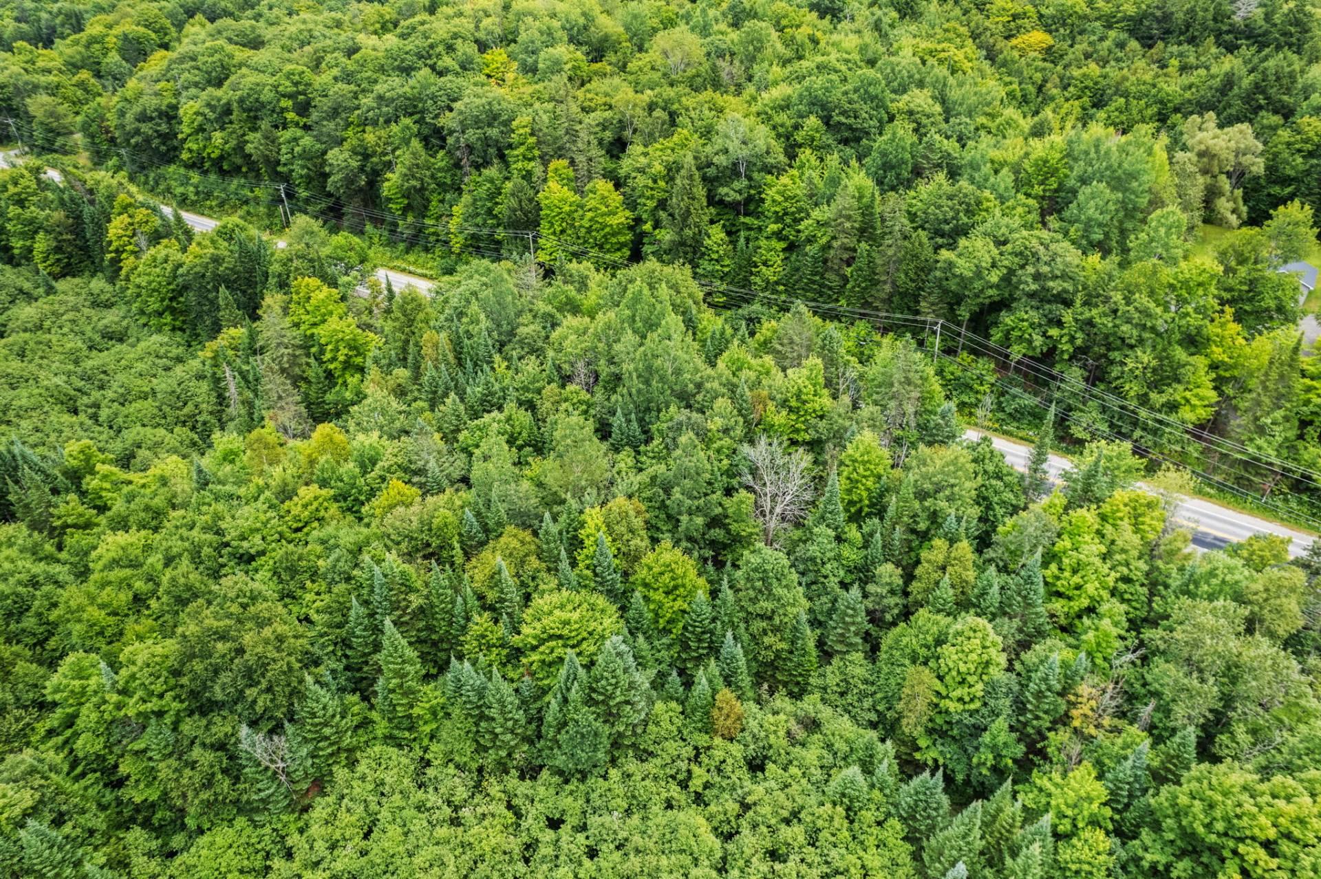 Aerial photo