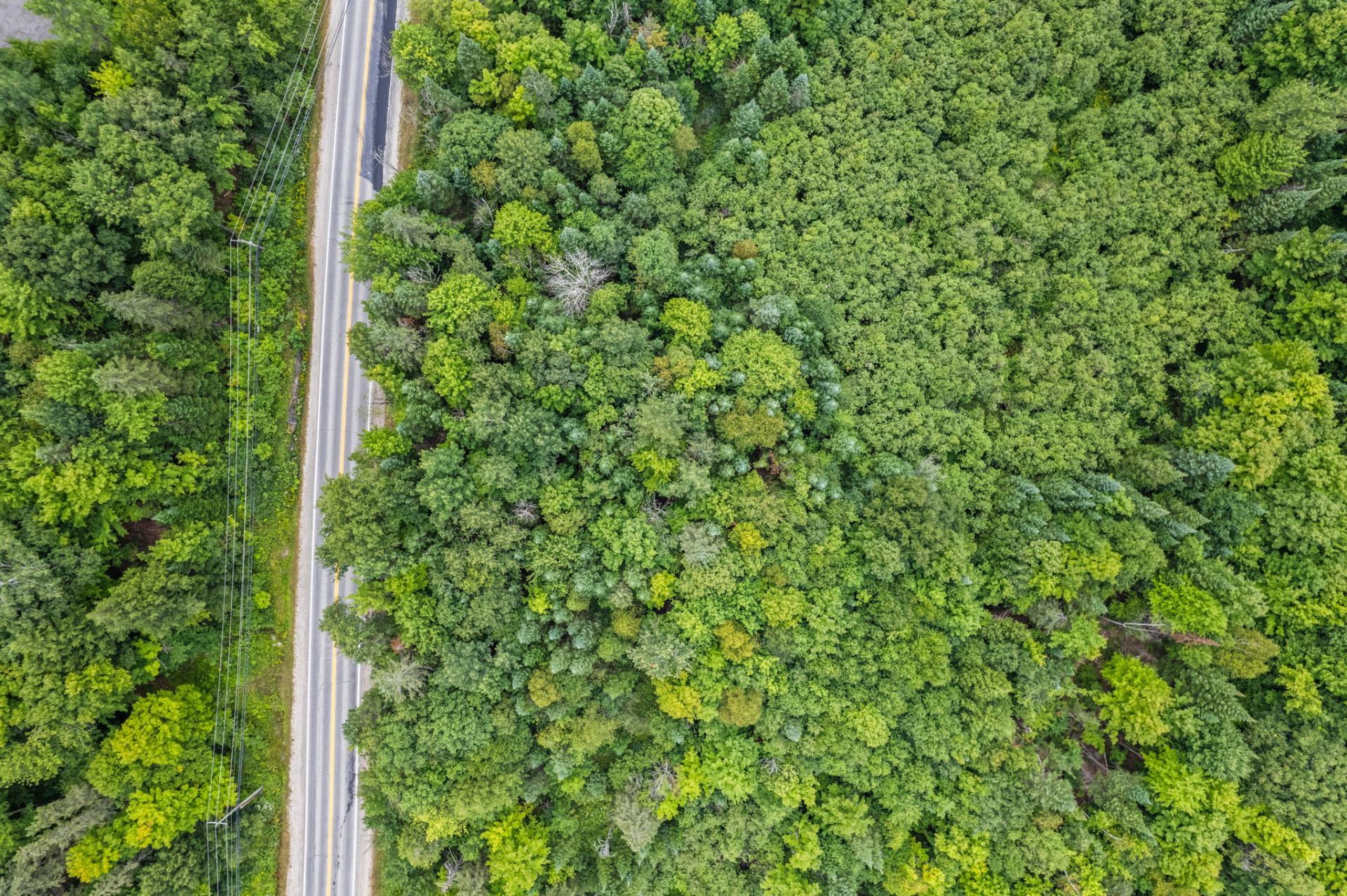 Aerial photo