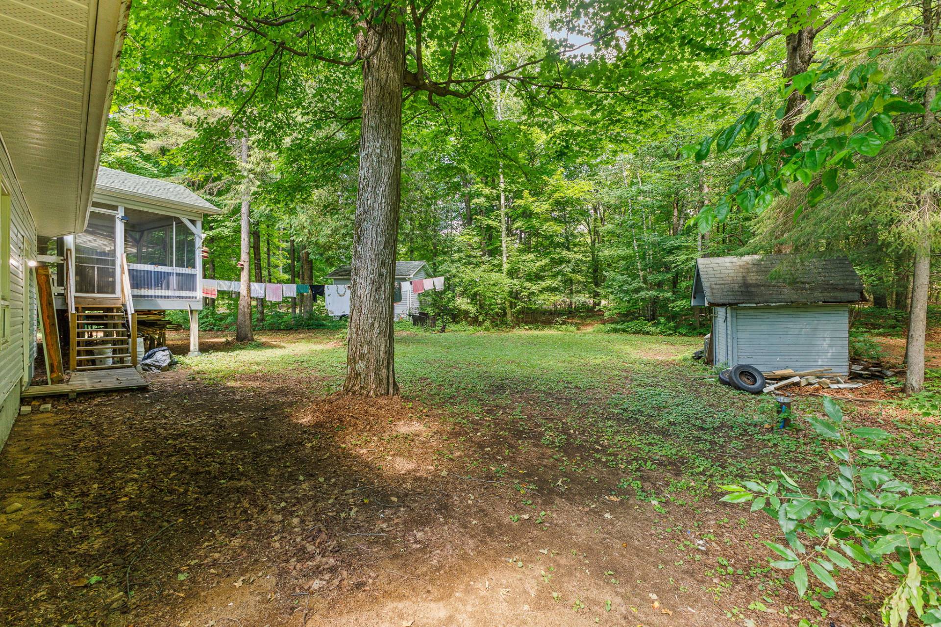 Backyard
