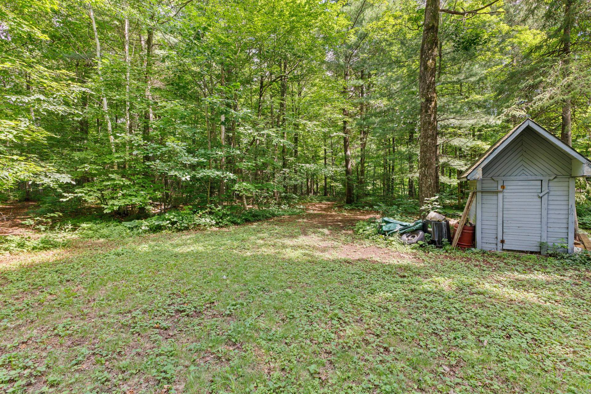 Backyard