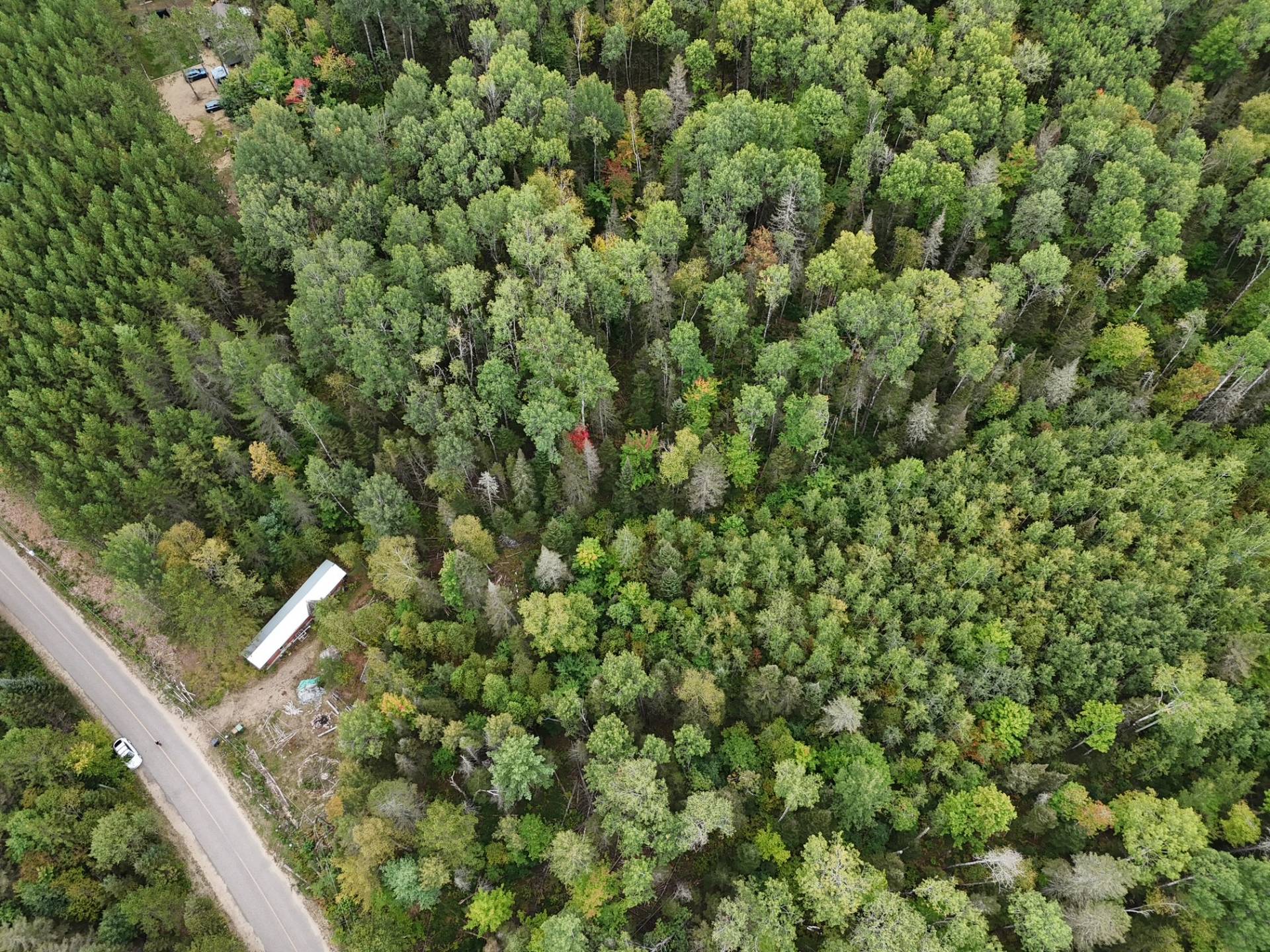 Aerial photo