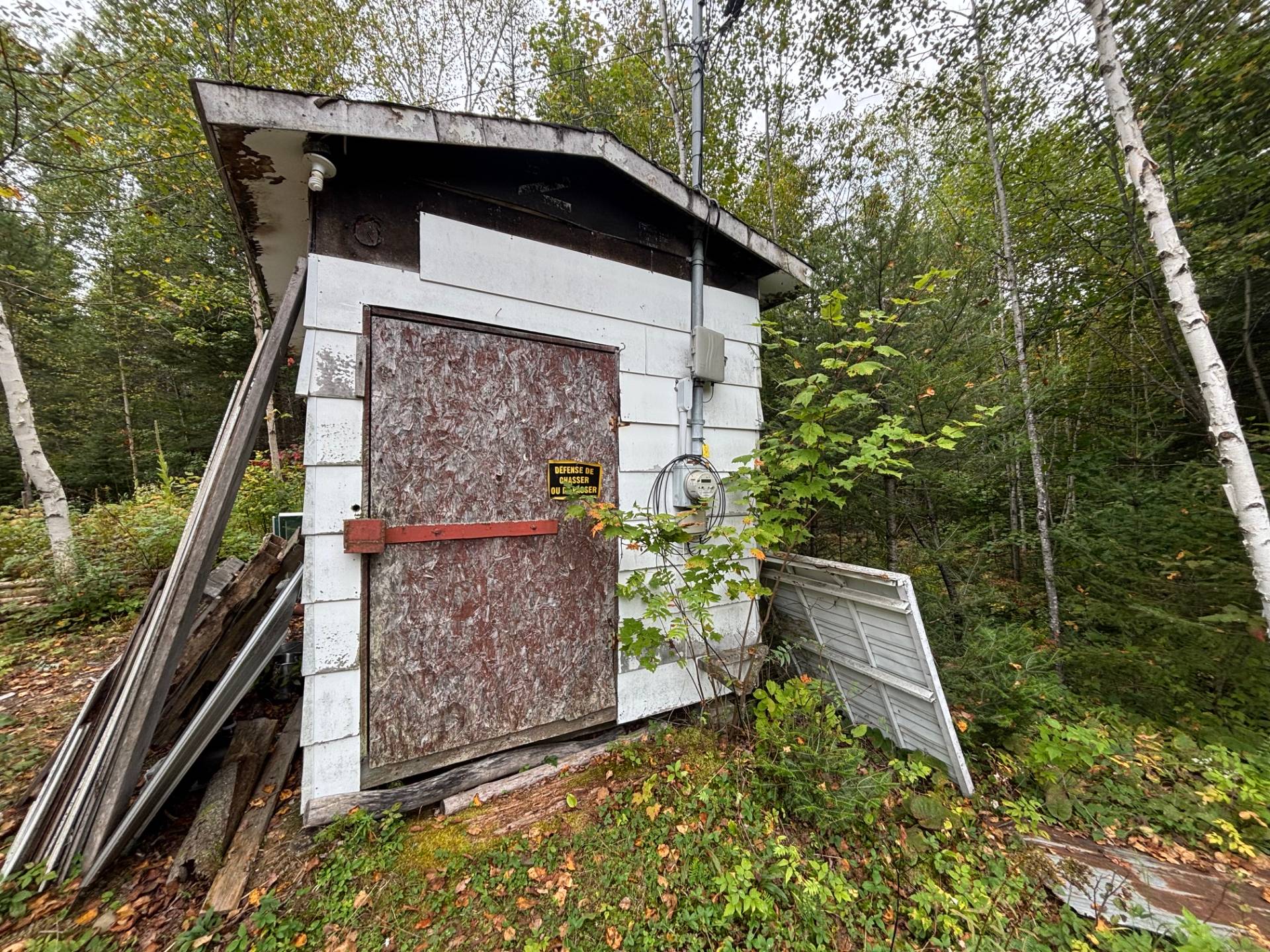 Shed