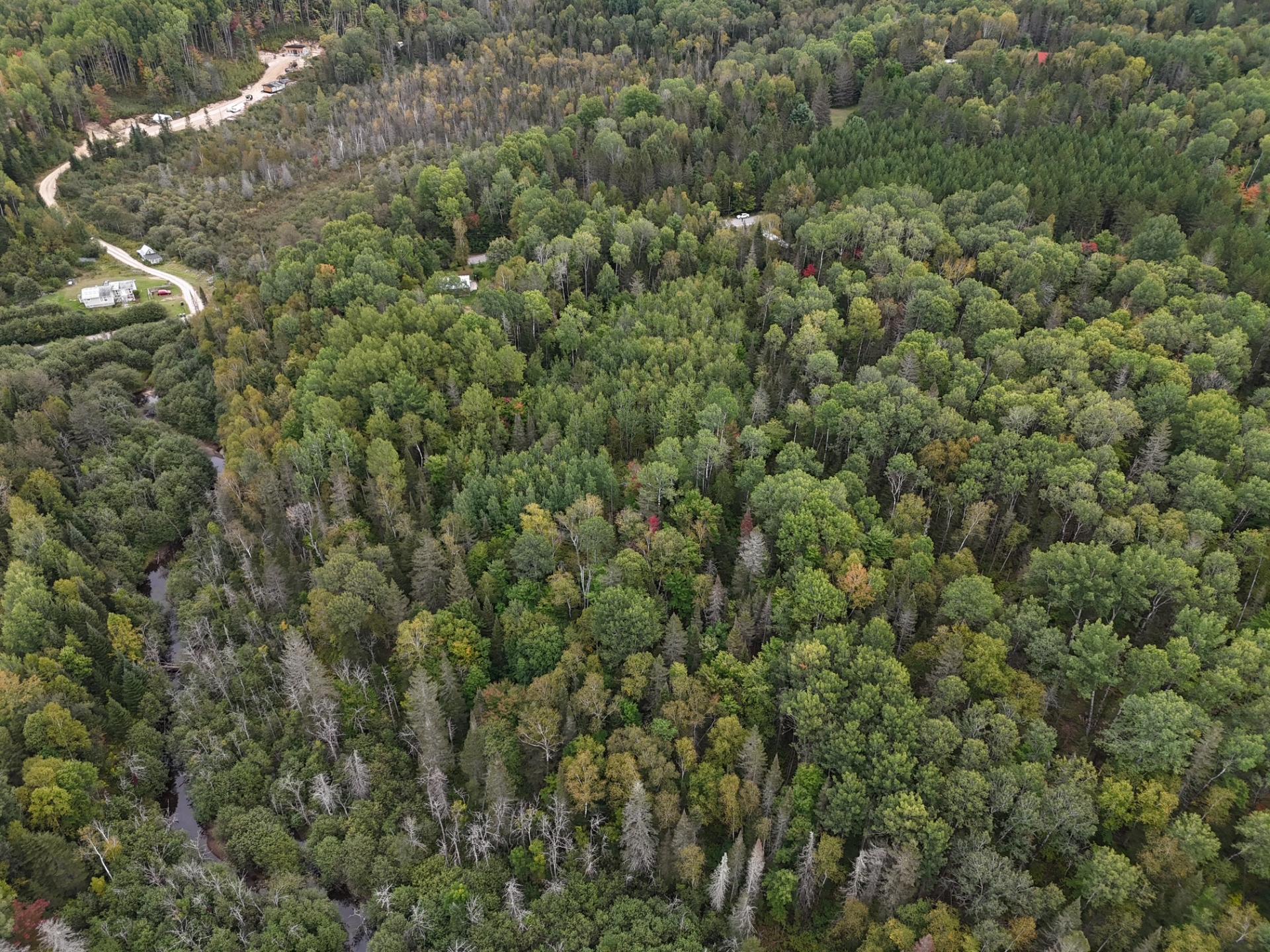 Aerial photo