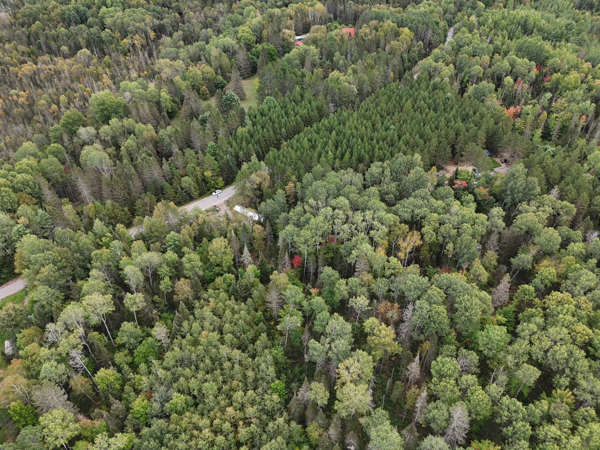 Aerial photo