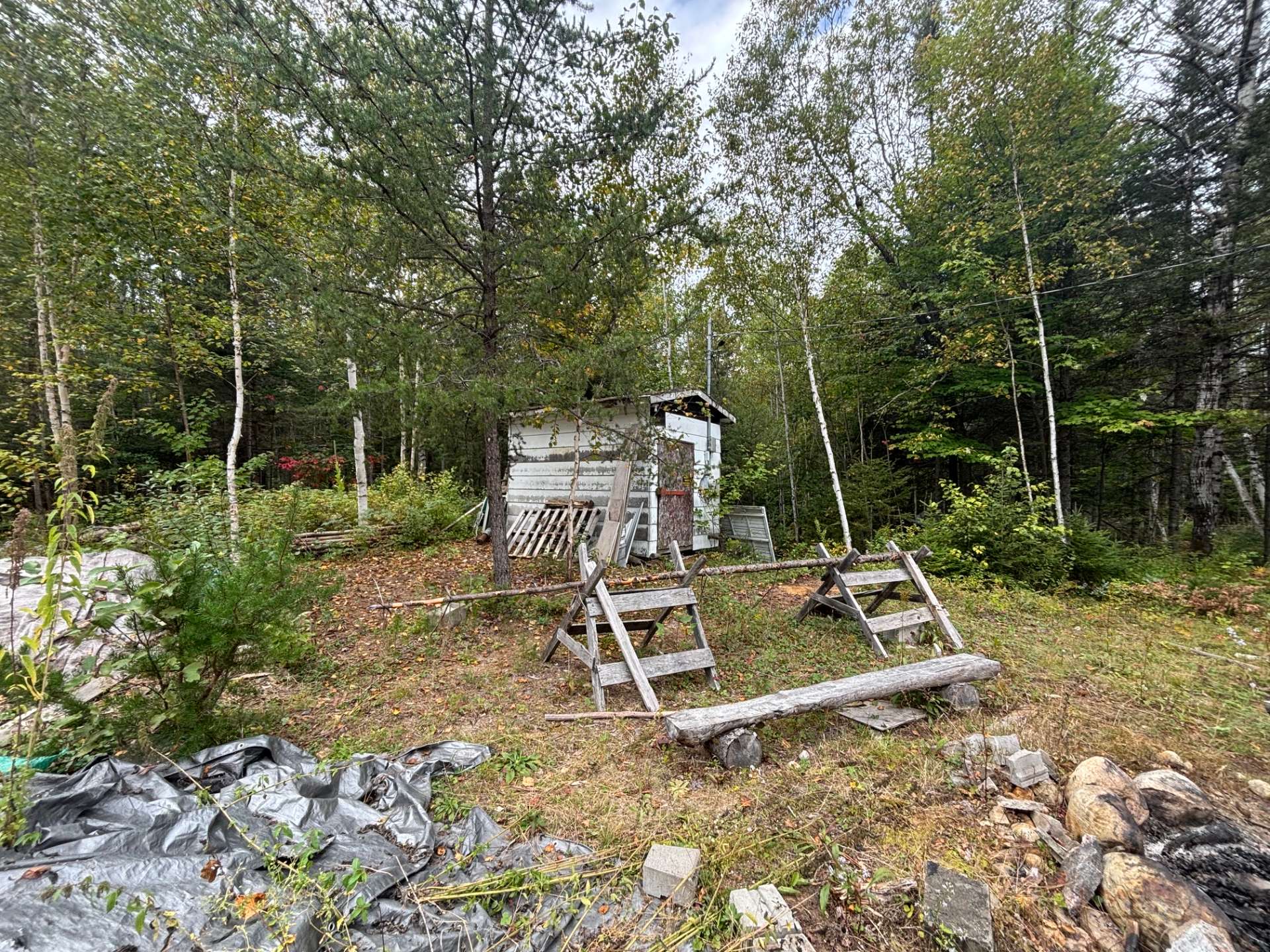 Shed
